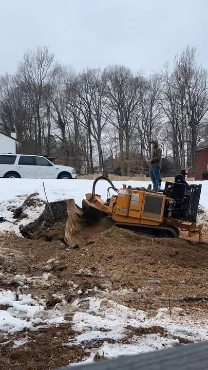  for A2Z Tree and Stump Removal in Charlotte, NC