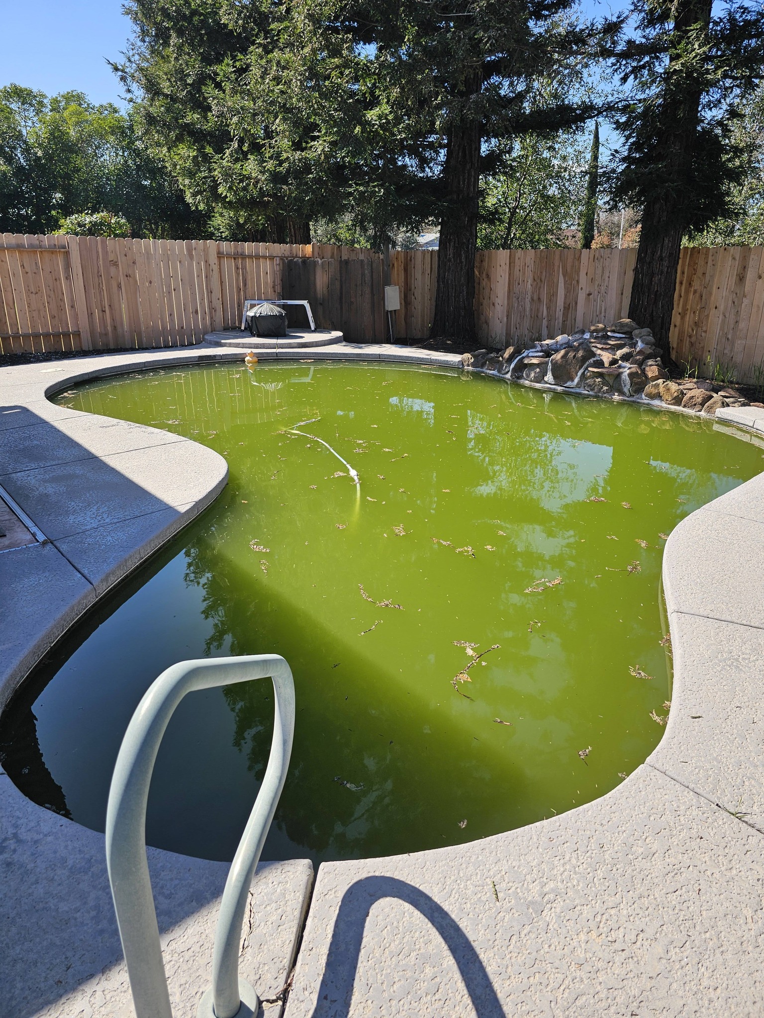 Robertson Pools team in Red Bluff, CA - people or person