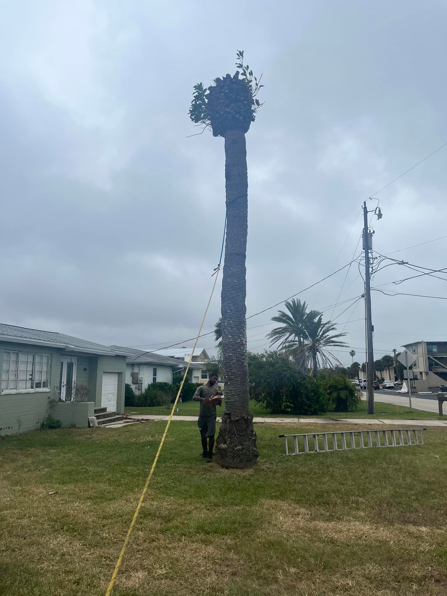  for Grind Time Tree Service in Daytona, FL