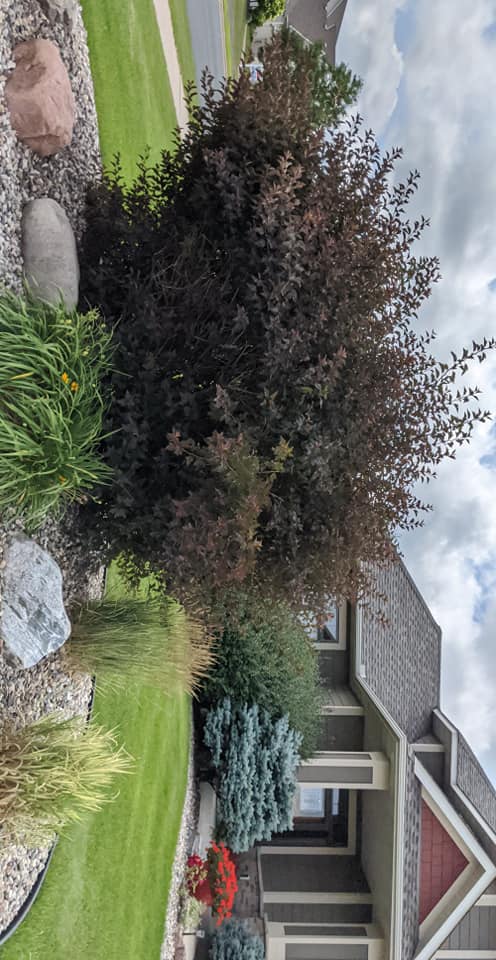  for Urban Green Lawncare & Snow Removal in Lakeville, MN