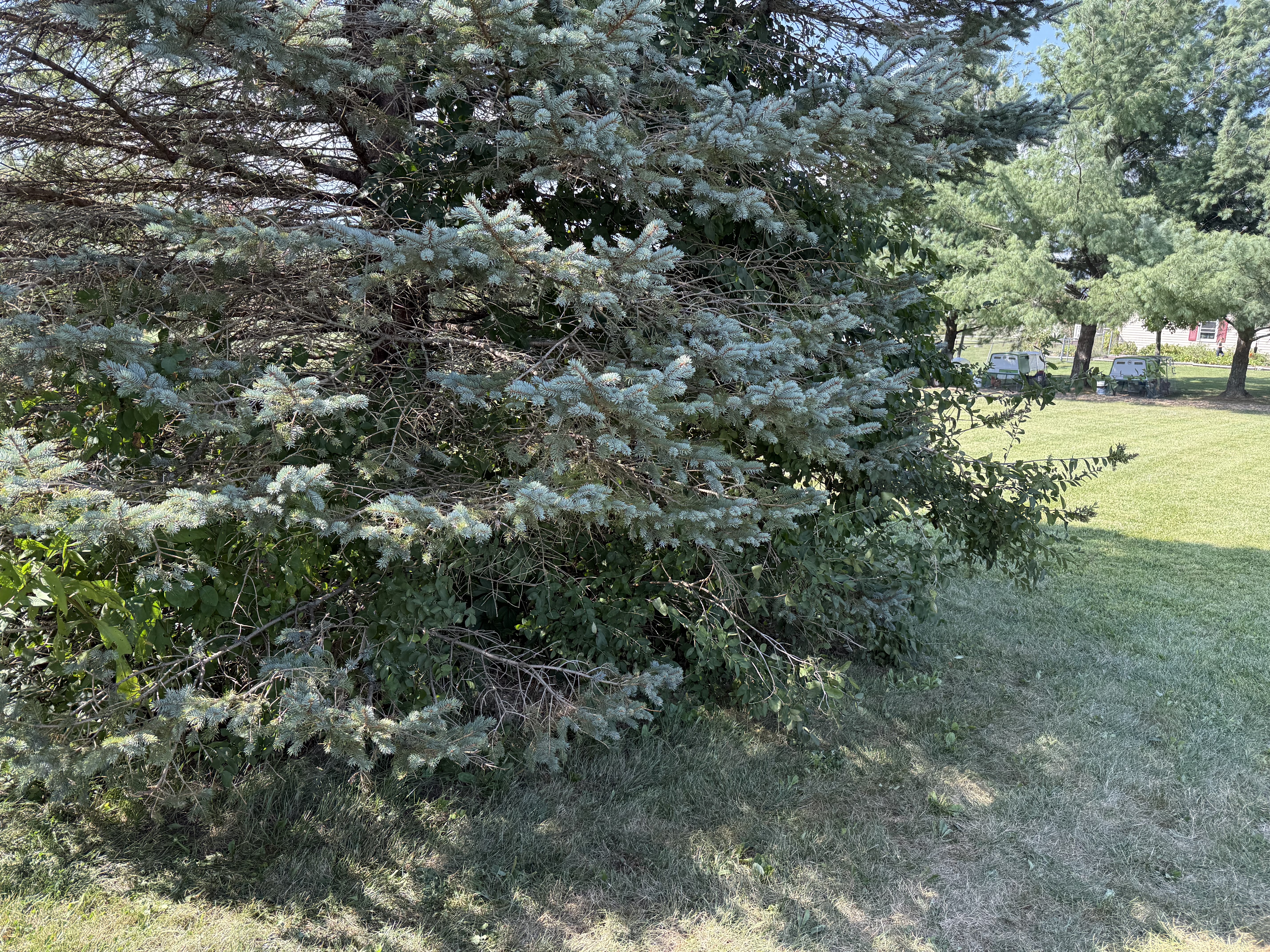  for F&R Landscapes LLC in Lagrange, OH