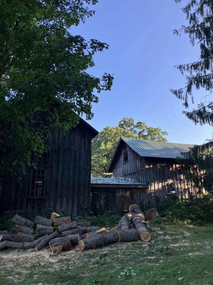  for Lovenguth Logging and Tree Service in West Monroe, NY