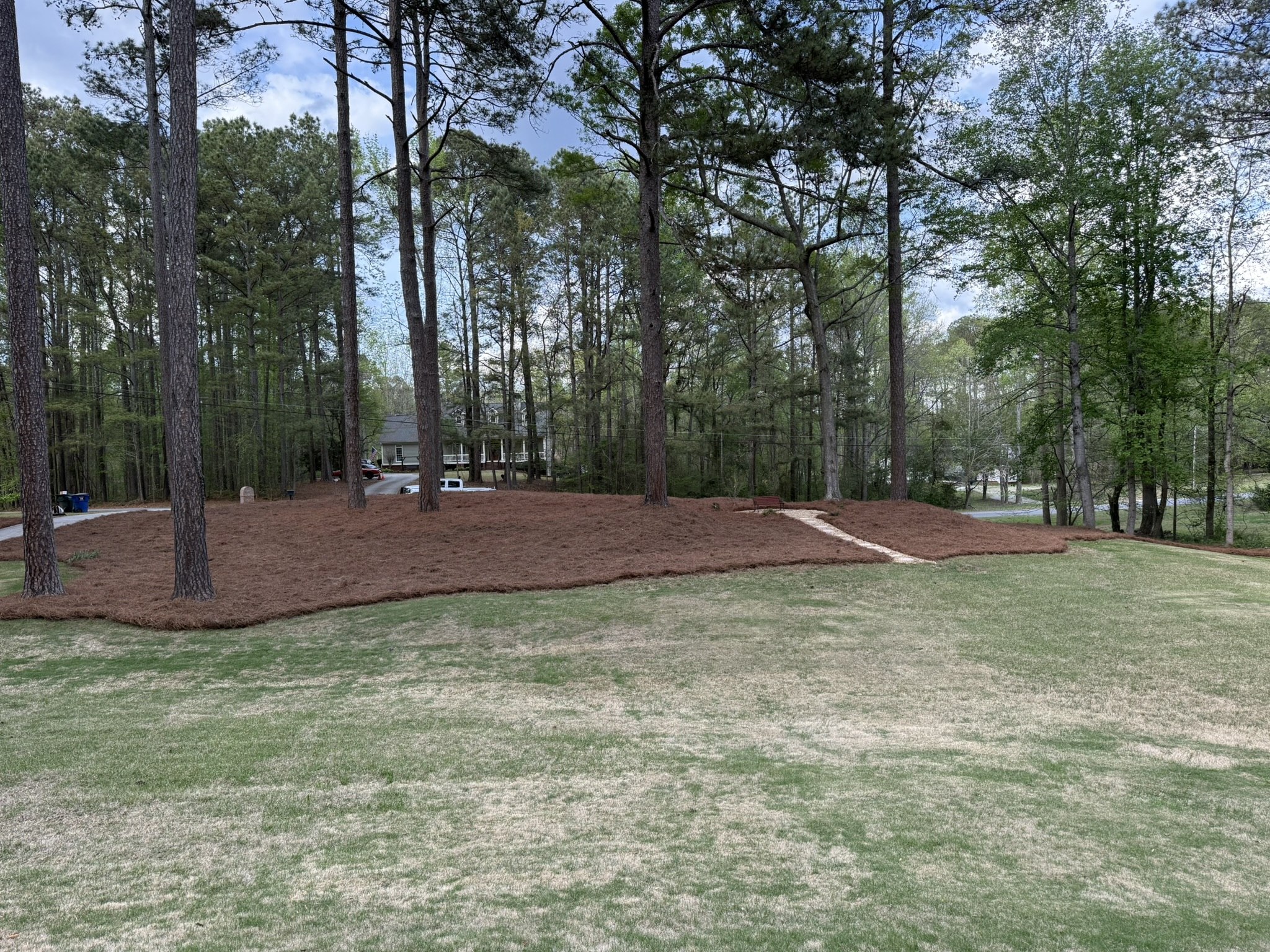  for Tri-P Services in Athens, GA