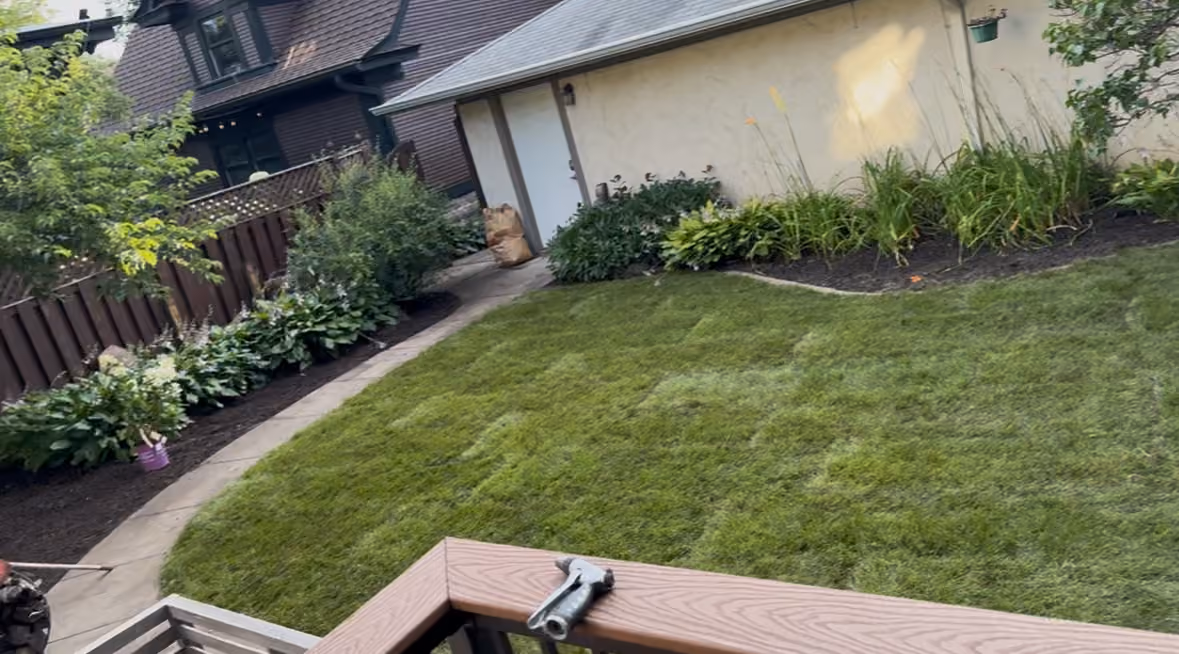 Backyard Buried in Weeds Gets Fresh Sod and Clean Beds