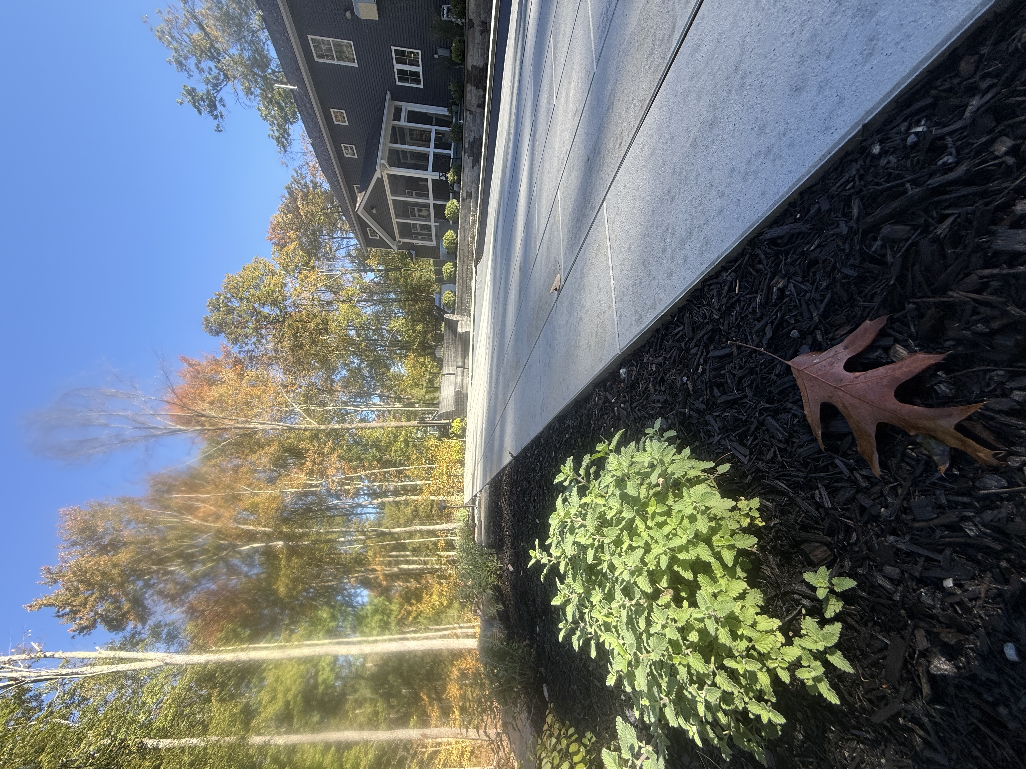  for The Lawn Guy in Saratoga Springs, NY