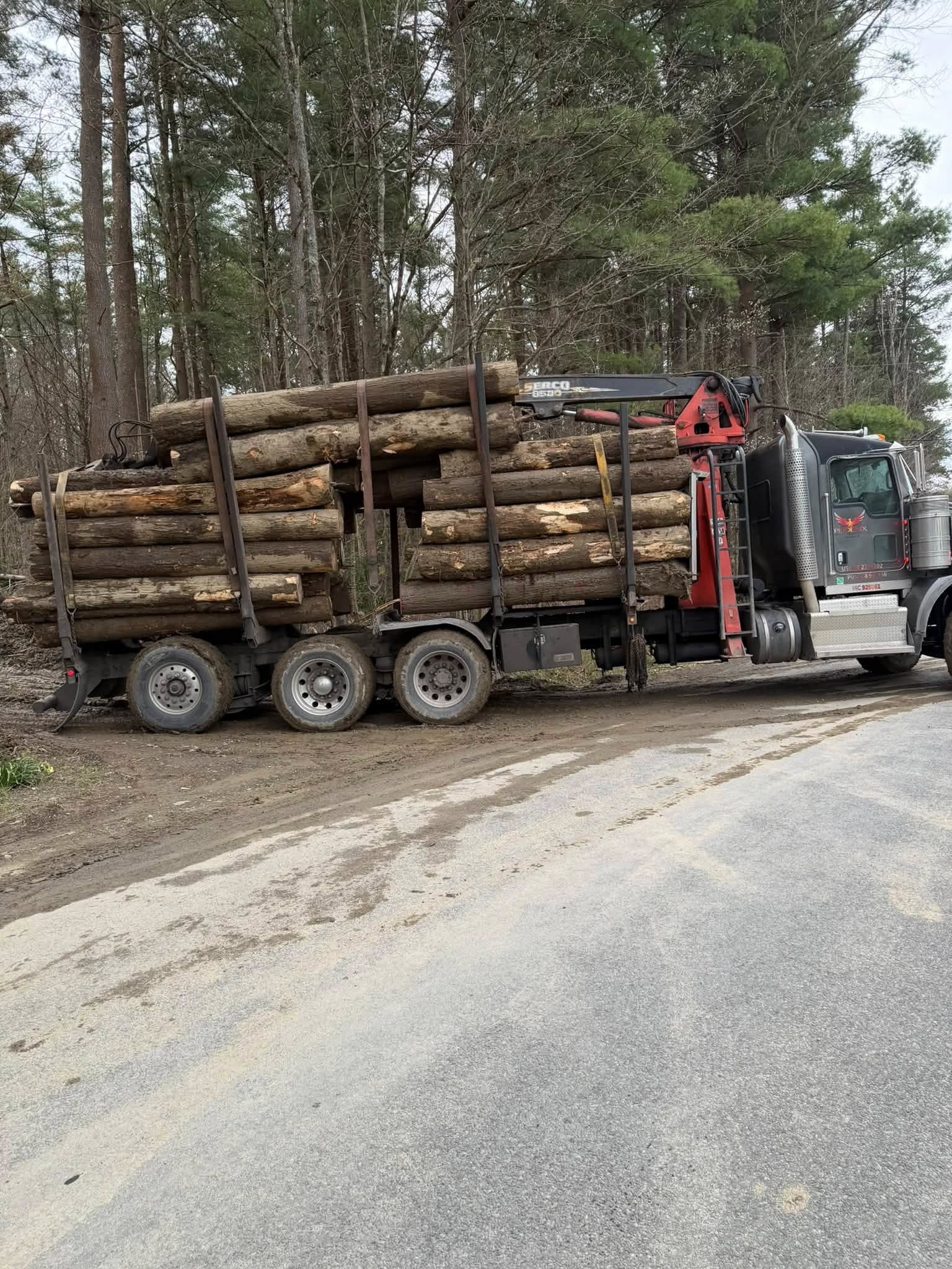 Tree Services company Brax Forestry in Endicott, NY