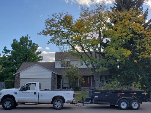 Beetle Busters LLC tree care work