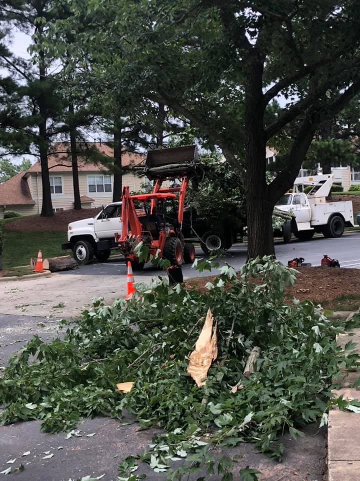  for North Meck Tree & Grounds Specialist in Huntersville, NC