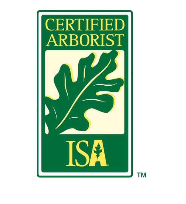 Certified ISA Arborist