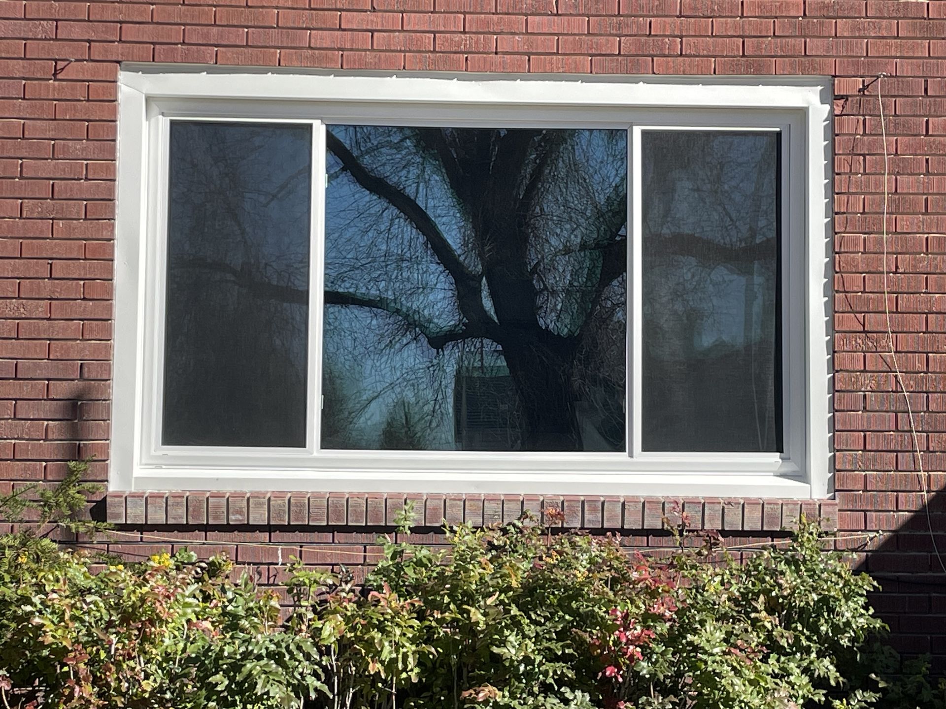  for Vivid Windows in Centerville, UT