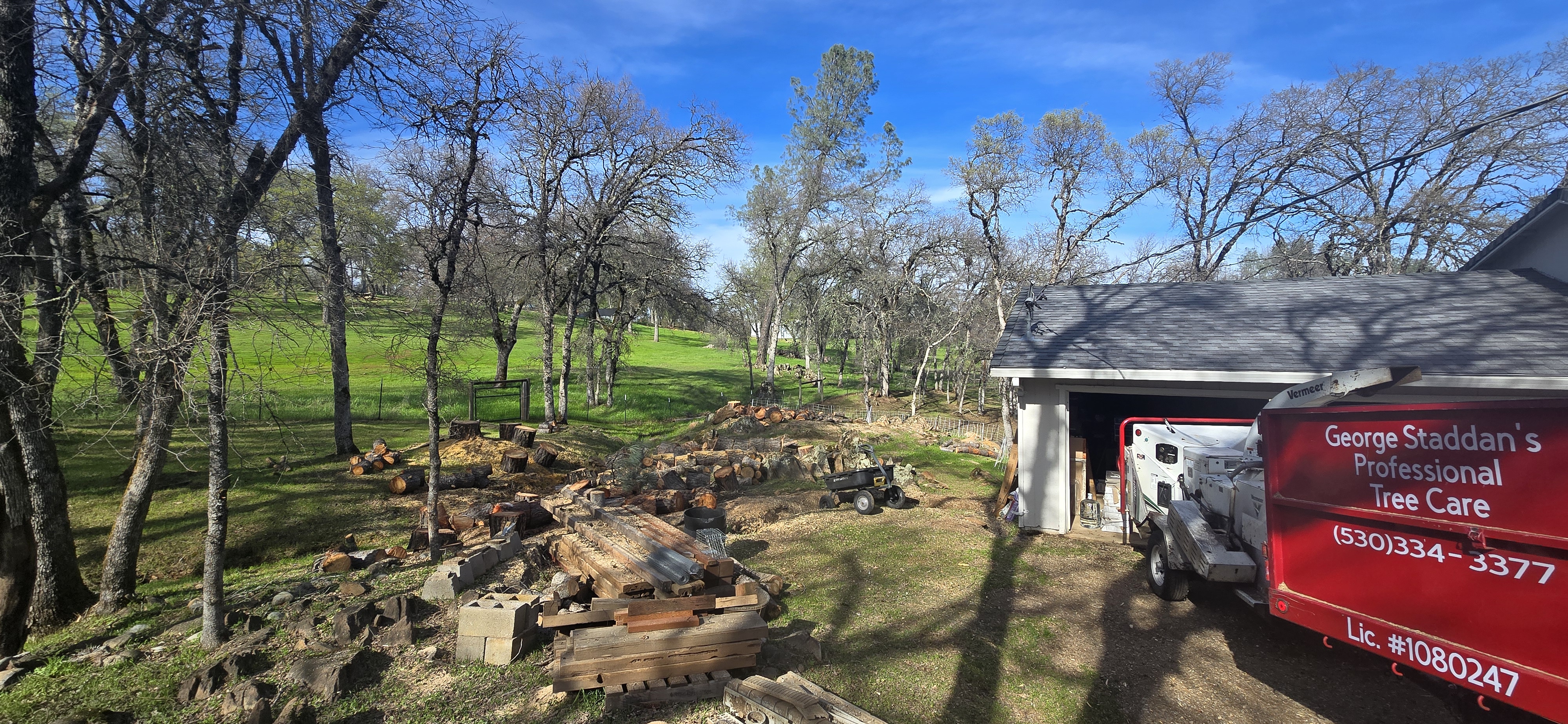  for George Staddan's Professional Tree Care in Placerville, CA