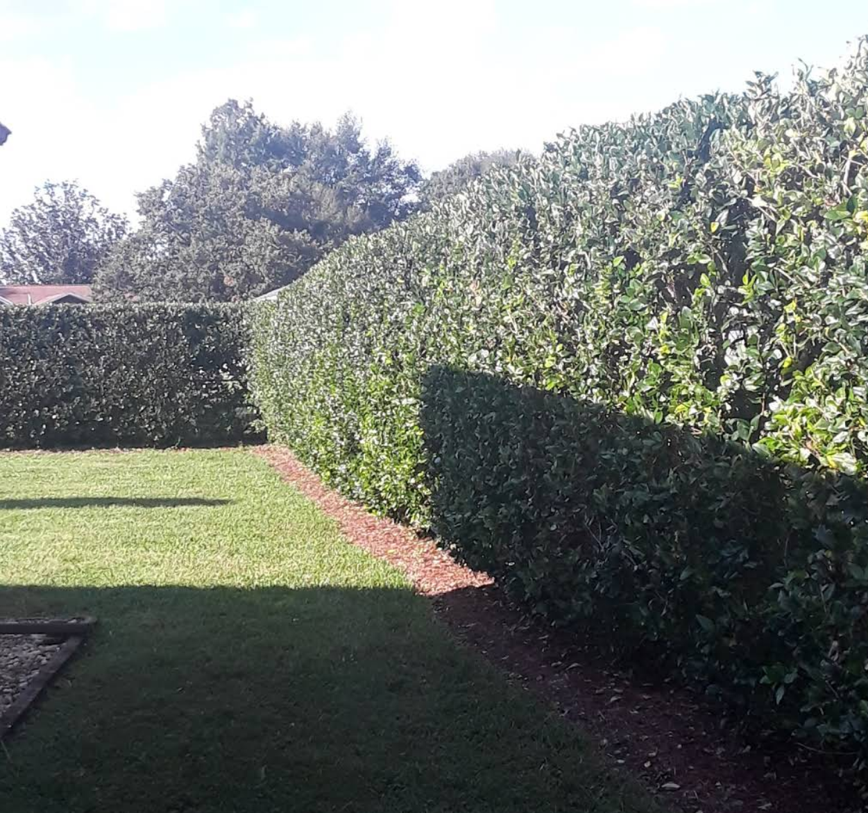  for Perfect Cut Lawn & Tree Care in Citrus Springs, FL