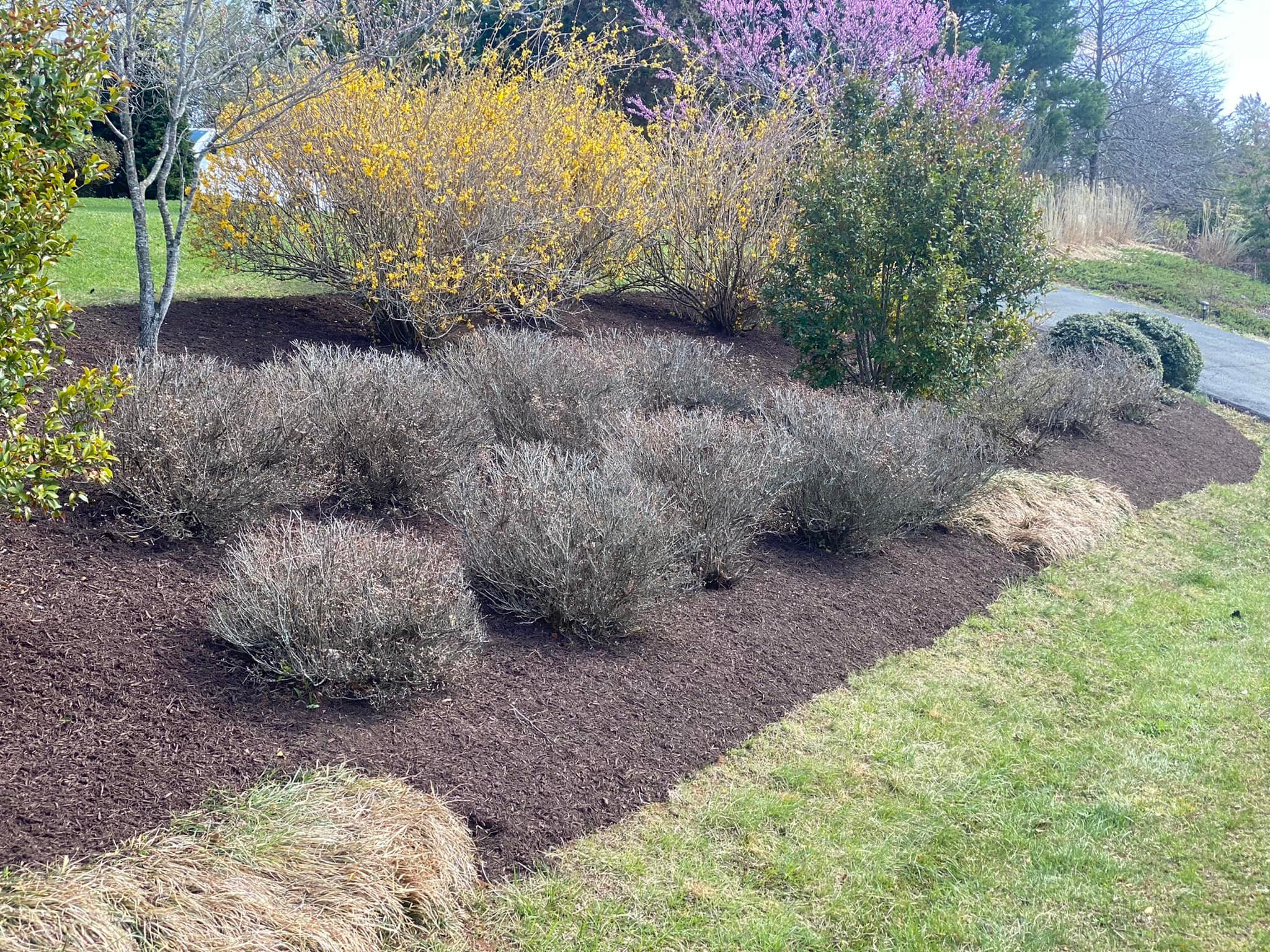  for Valencia’s Lawncare in Charlottesville, VA