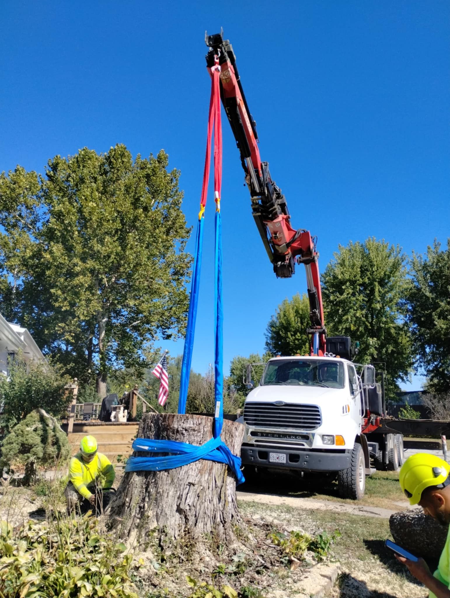  for Mitchell Tree Company in Lathrop, MO