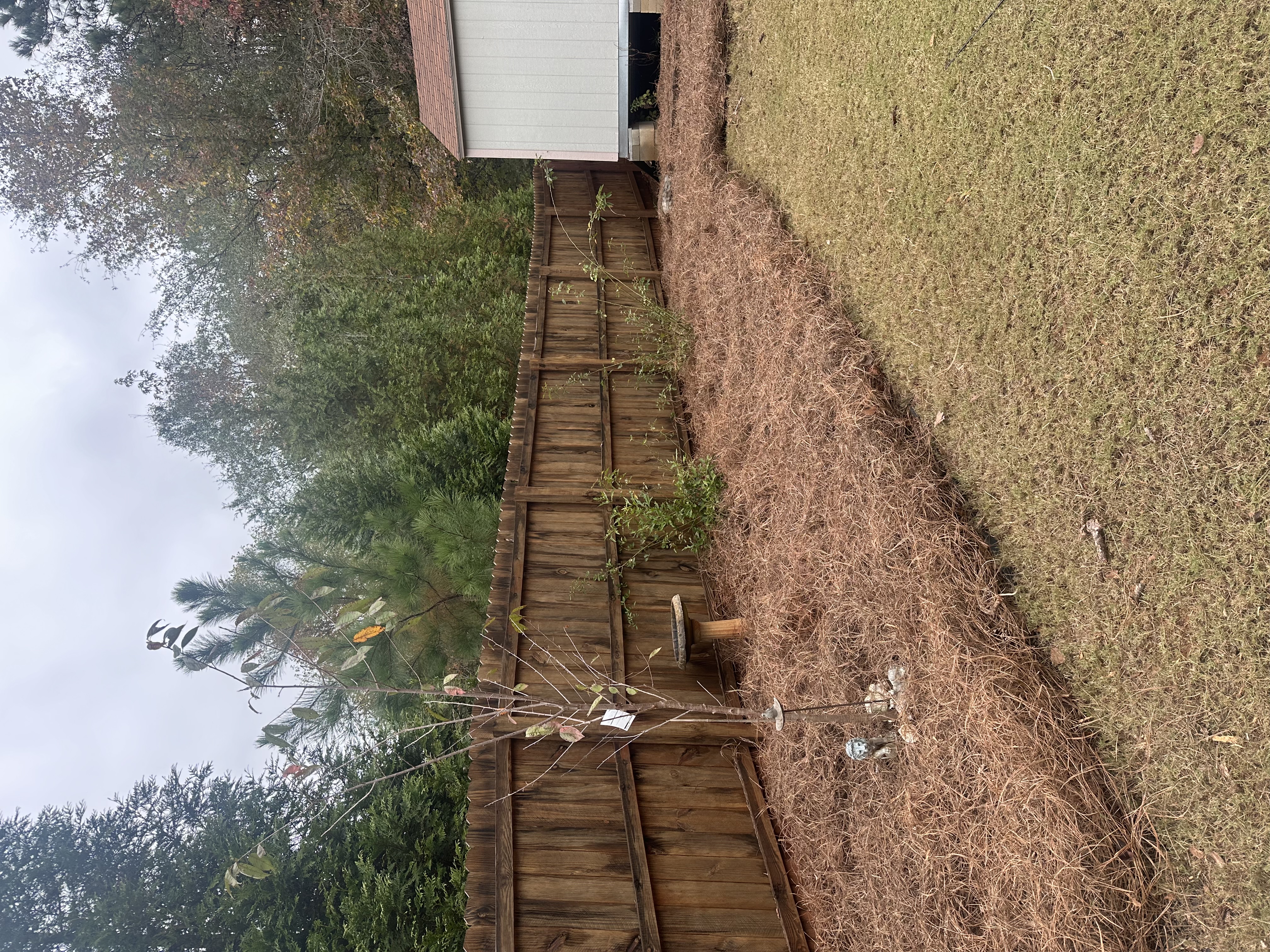  for Hedgecraft Landscaping LLC in Senoia, GA