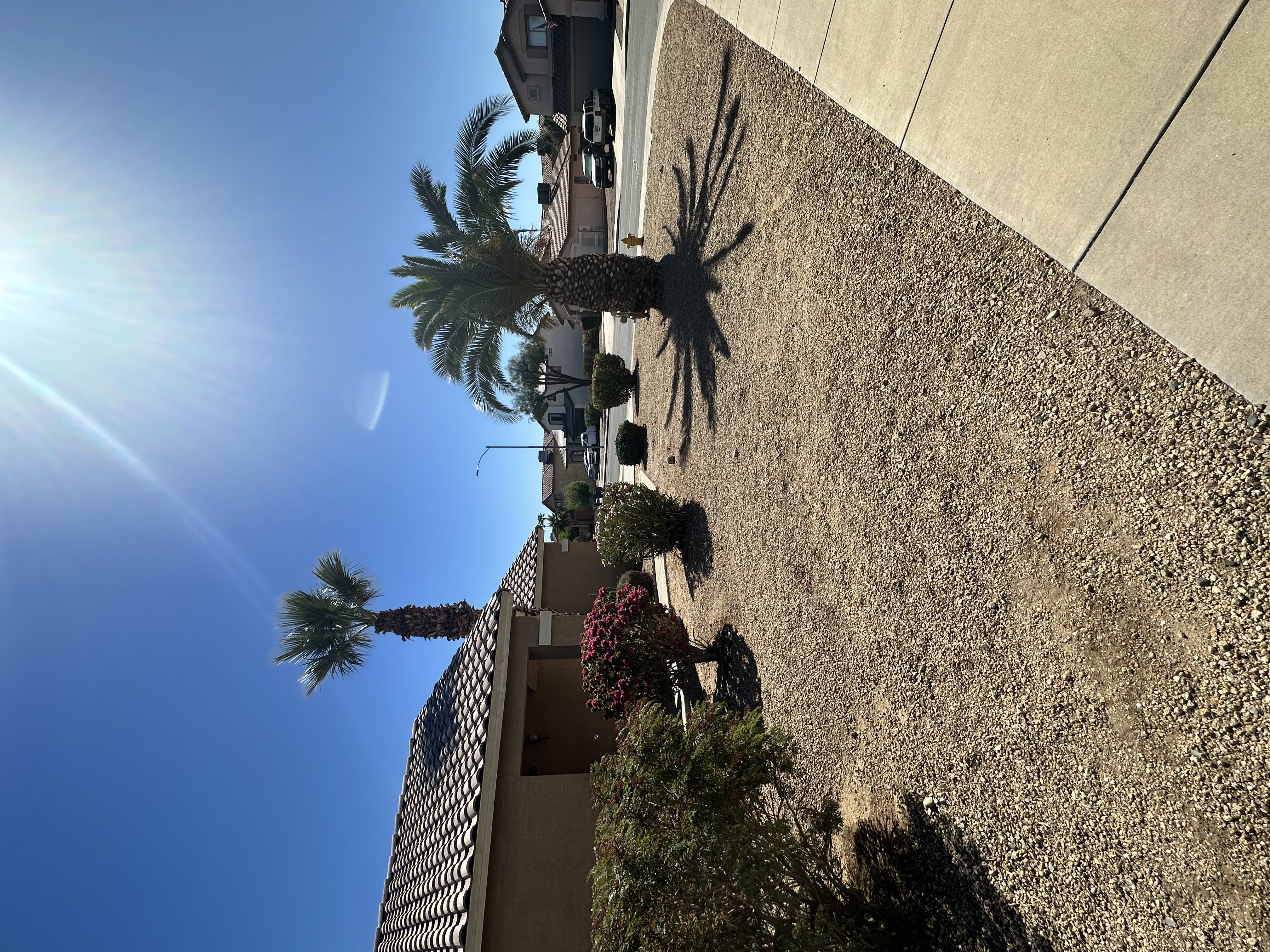  for American Dream Landscape Company in Surprise, AZ