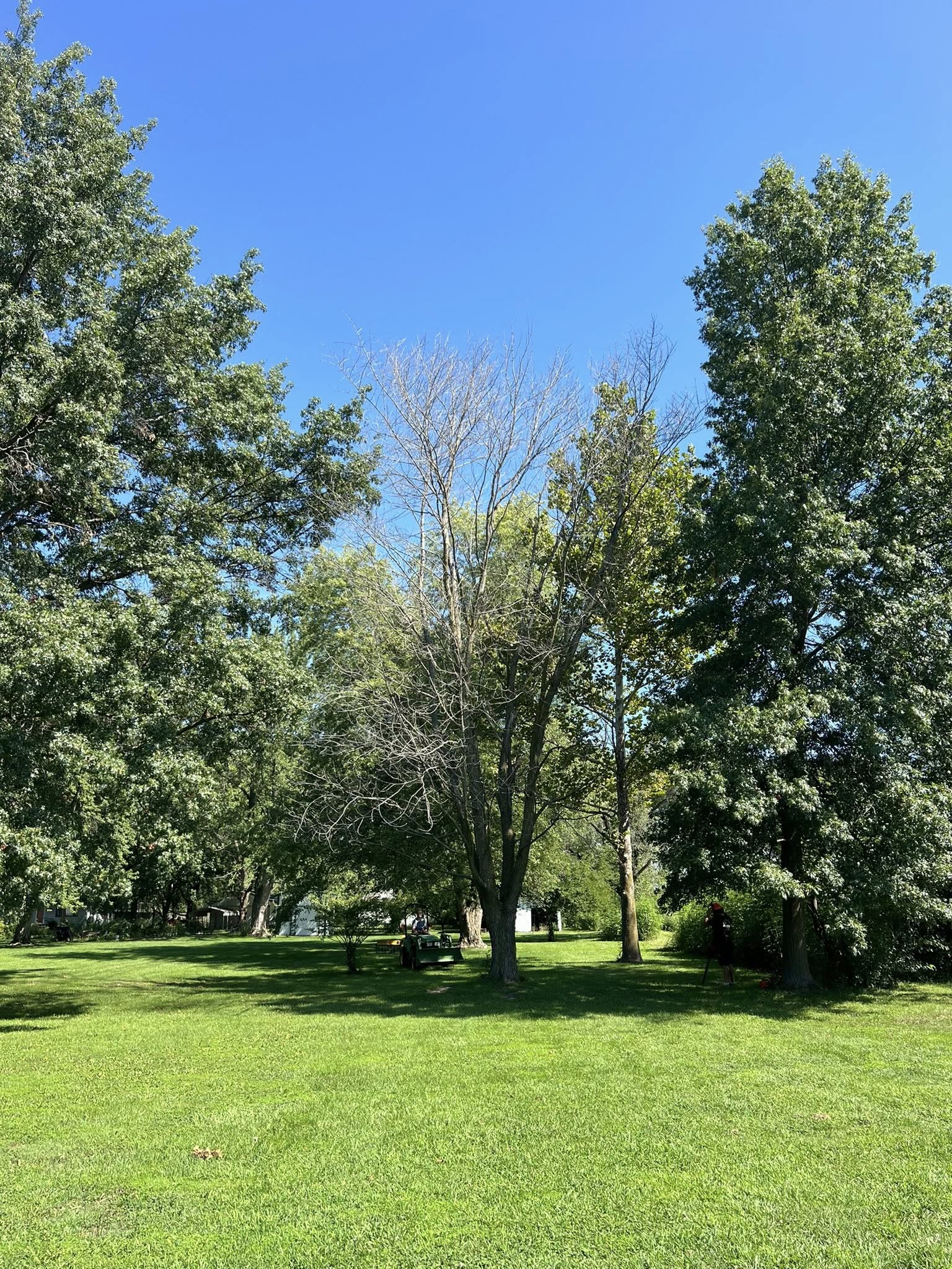 Tree Service company Baker Professional Services LLC in Shelbina, MO