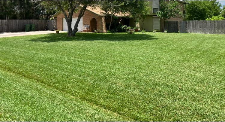 Lawn Care company John’s Lawns in South Padre Island, TX