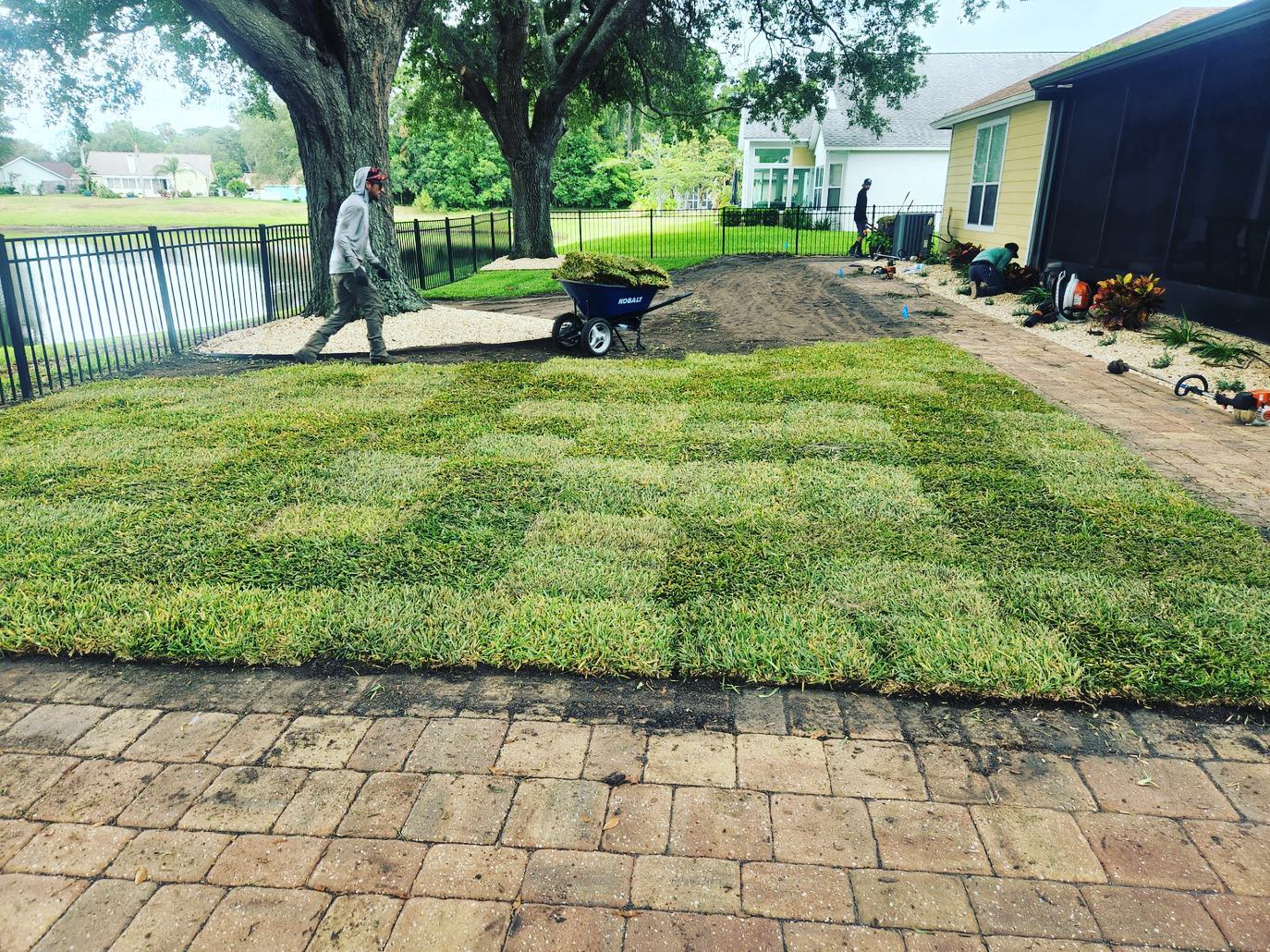  for Lawns By St. John in North East, Florida
