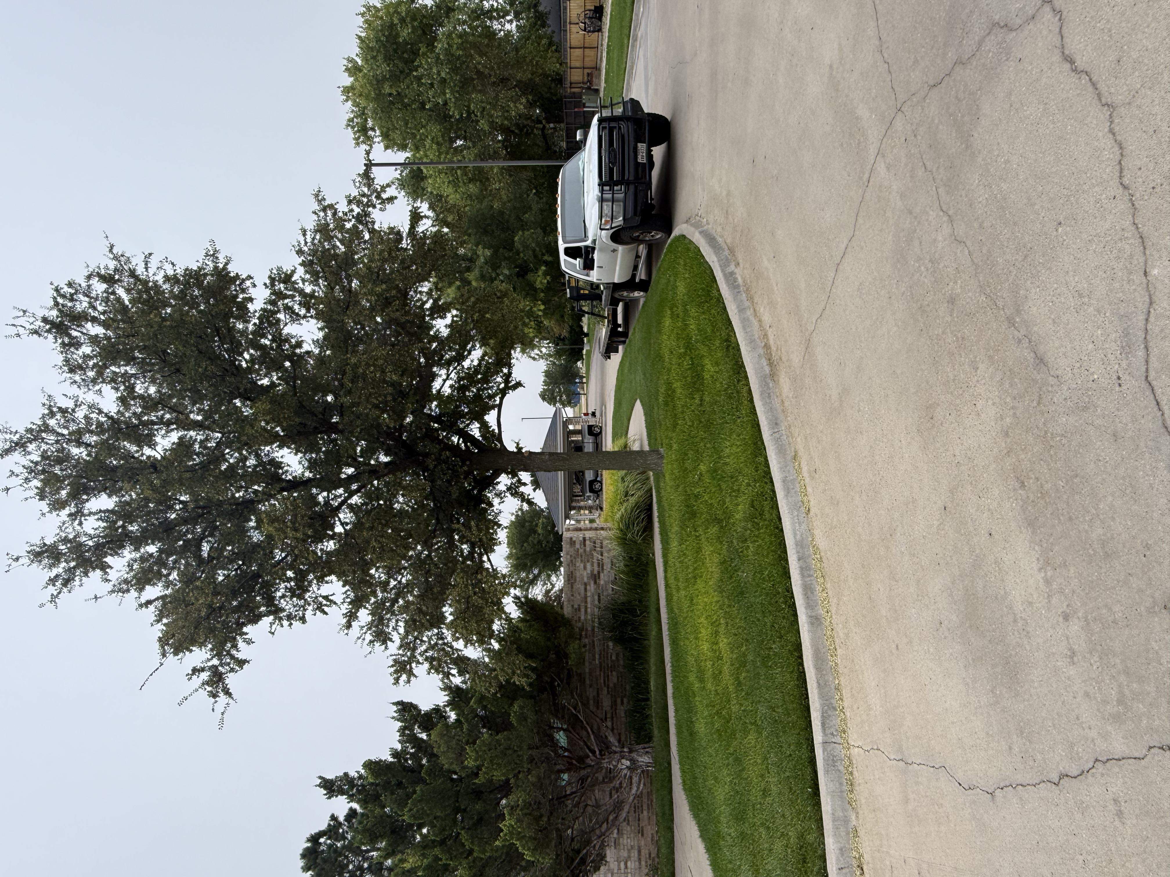  for R&J Hydromulch in Booker, TX