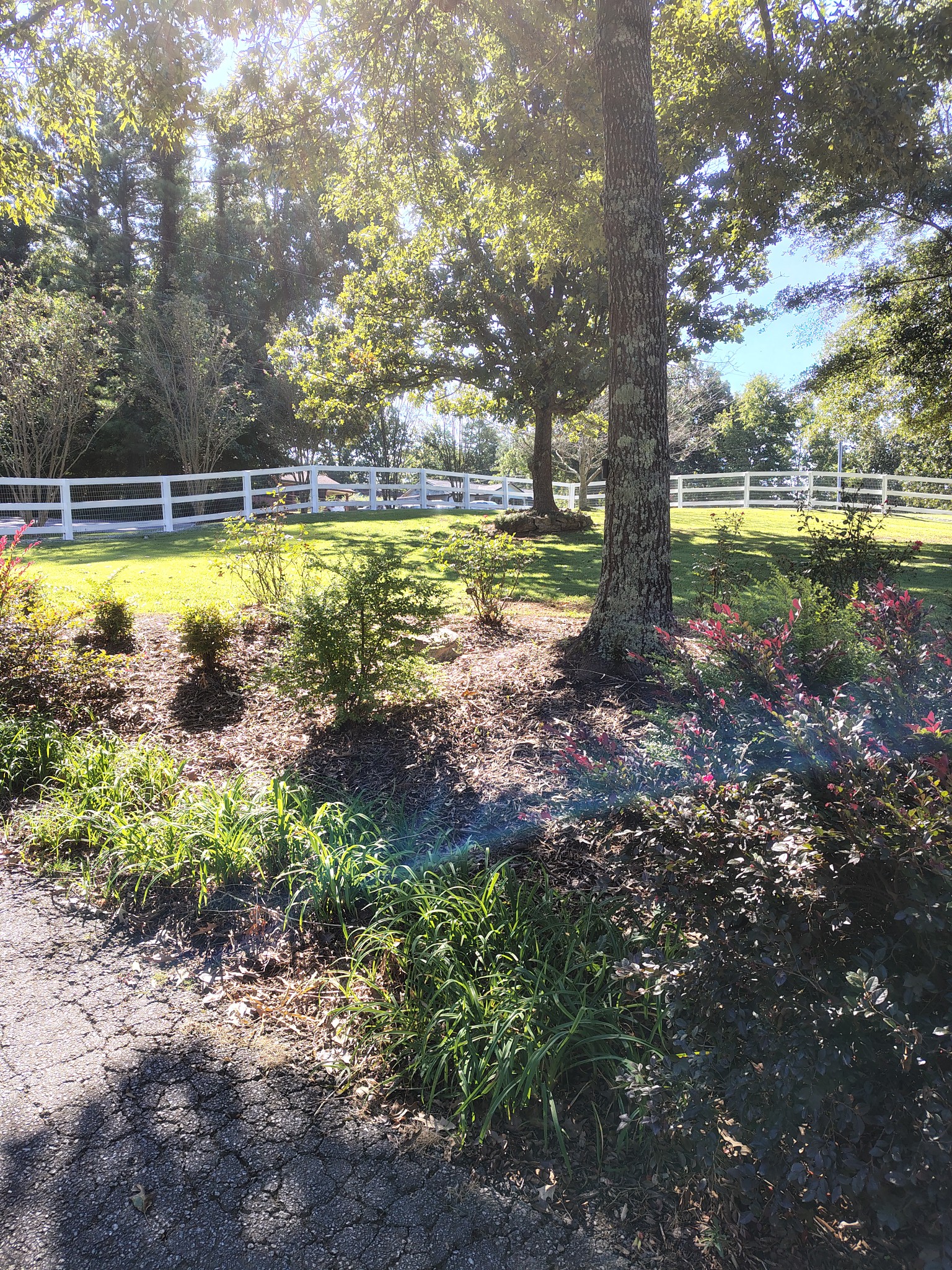  for MHS Solutions in Rydal, GA