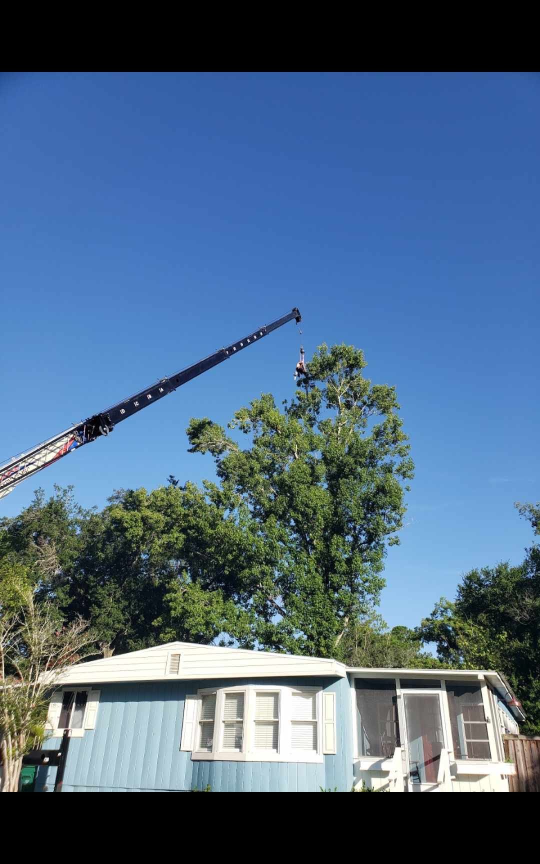  for A Southern Style Tree Service in Orlando, FL