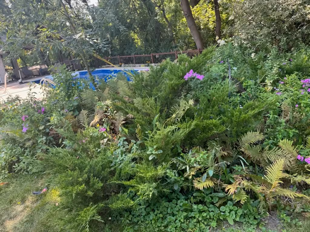 Garden Transformation with Cypress Mulch Magic