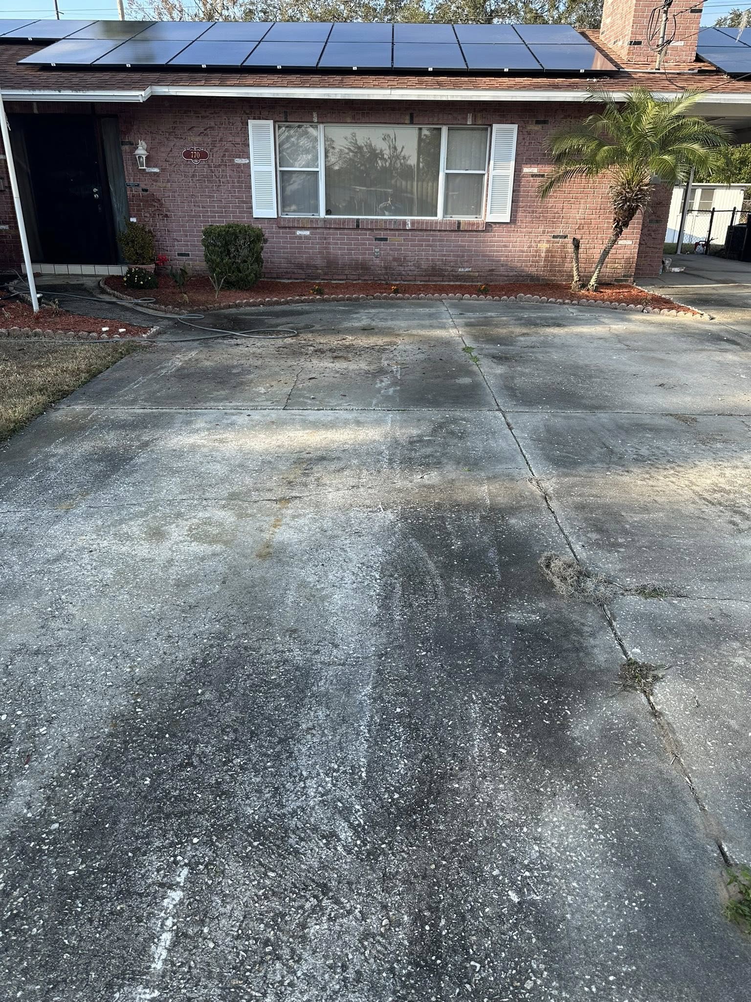  for The Yardman in Tampa, FL