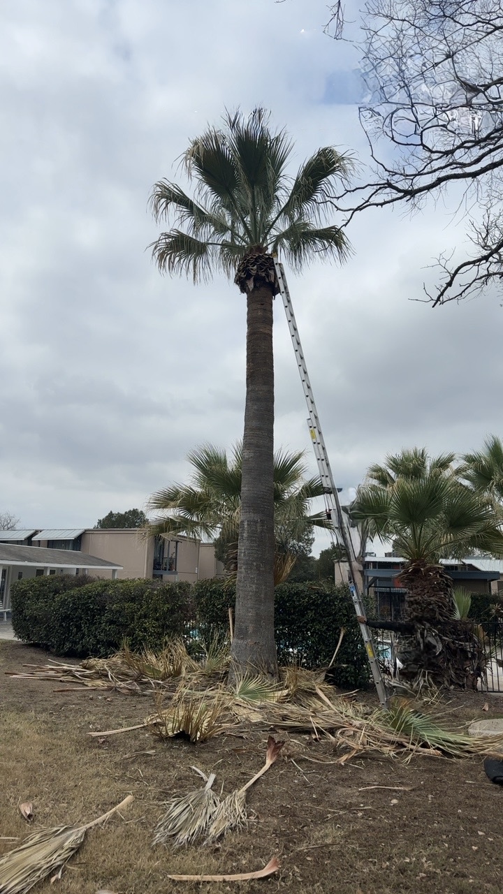  for DR Landscape in San Antonio, TX