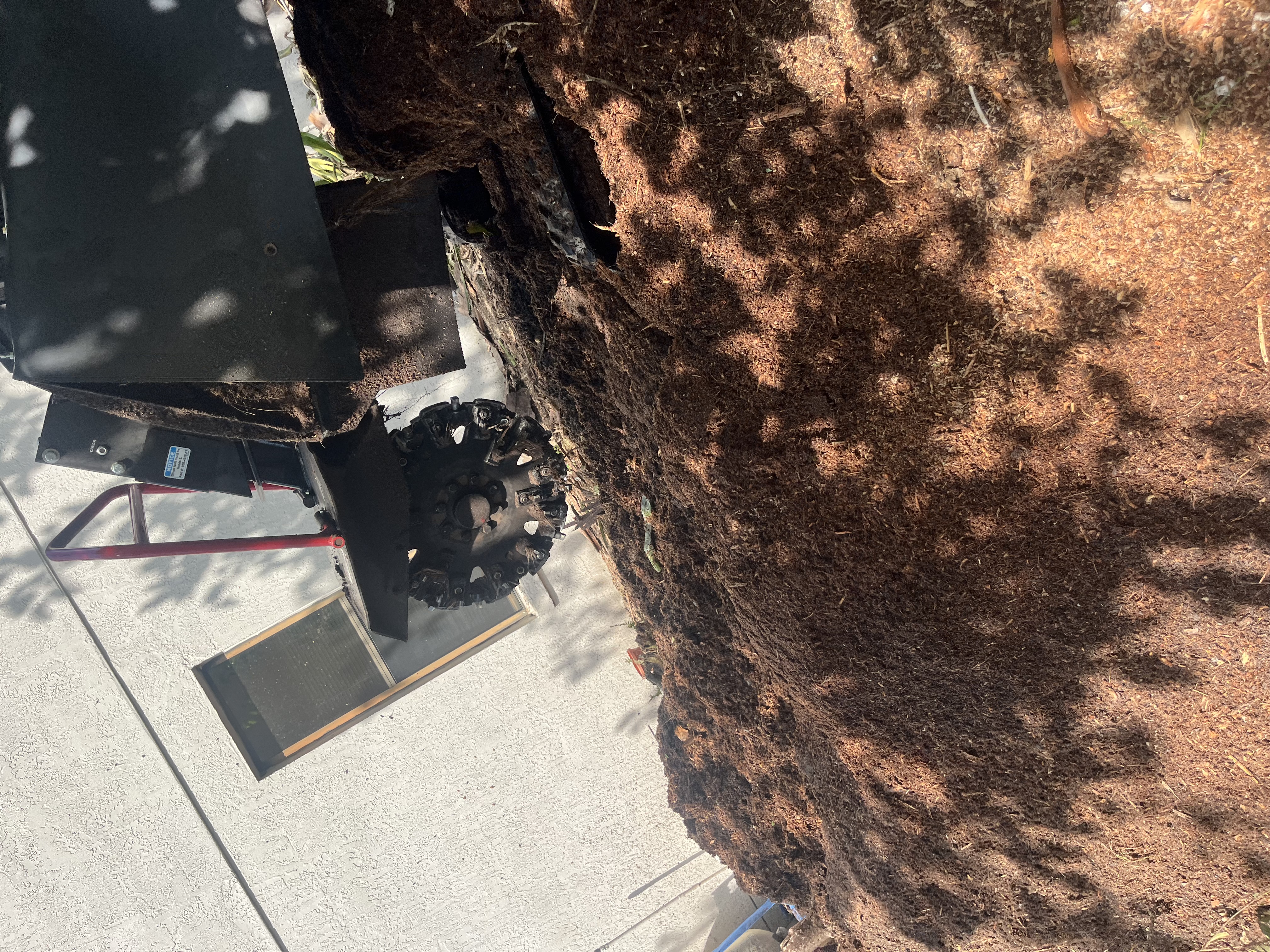  for Curtis Tree Service & Landscaping in Haines City, FL