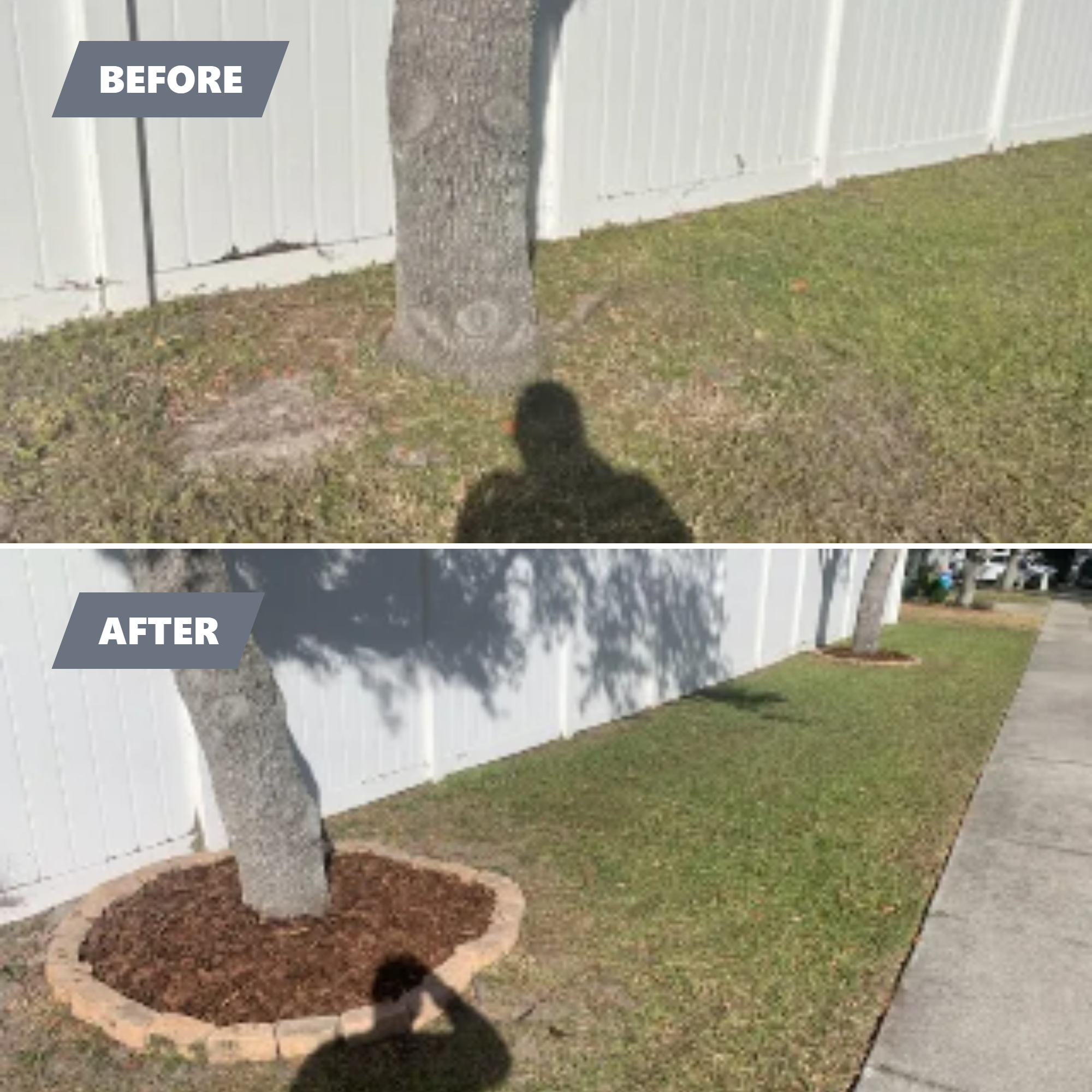  for Mitchell Lawn Service in Odessa, FL