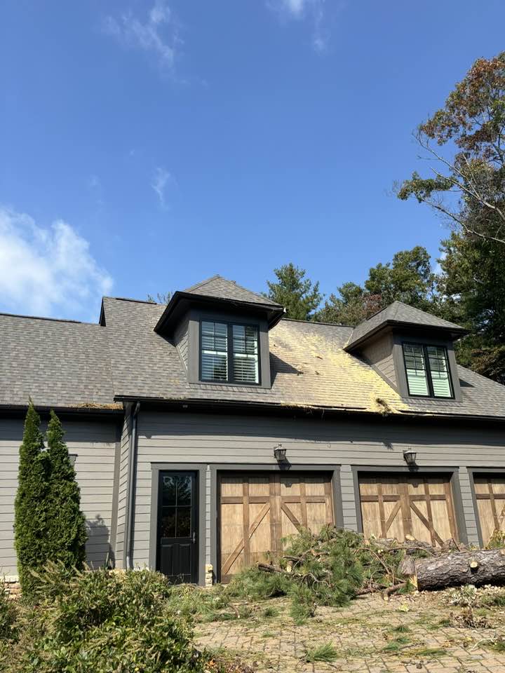  for Andy's Tree Service in Zirconia, NC