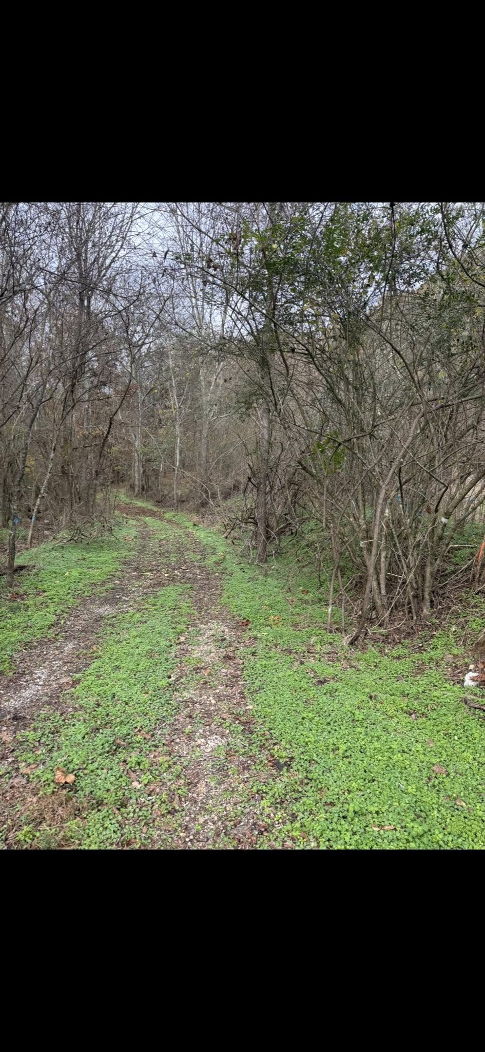  for Gregory Grass and Land in Lafayette, TN