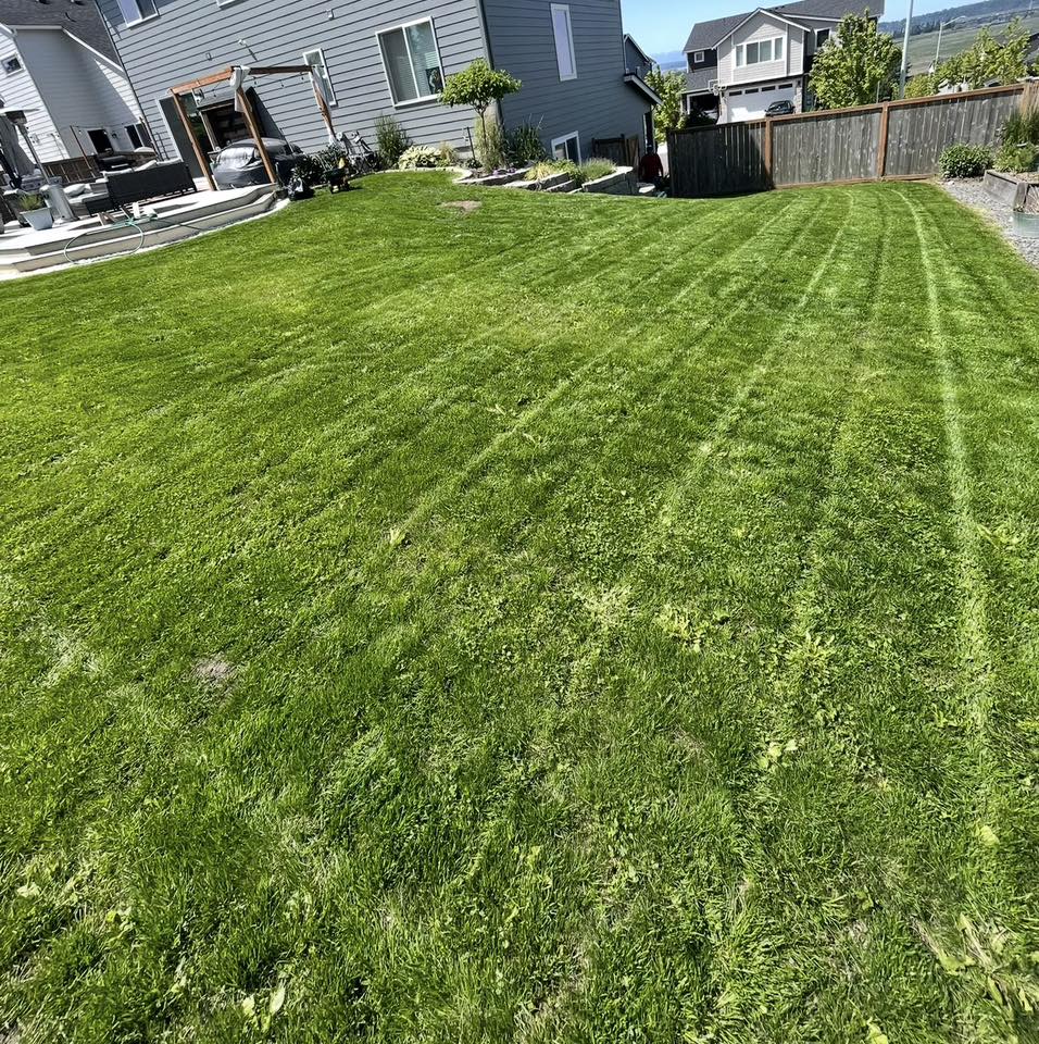  for B.U Landscaping in Everett, WA
