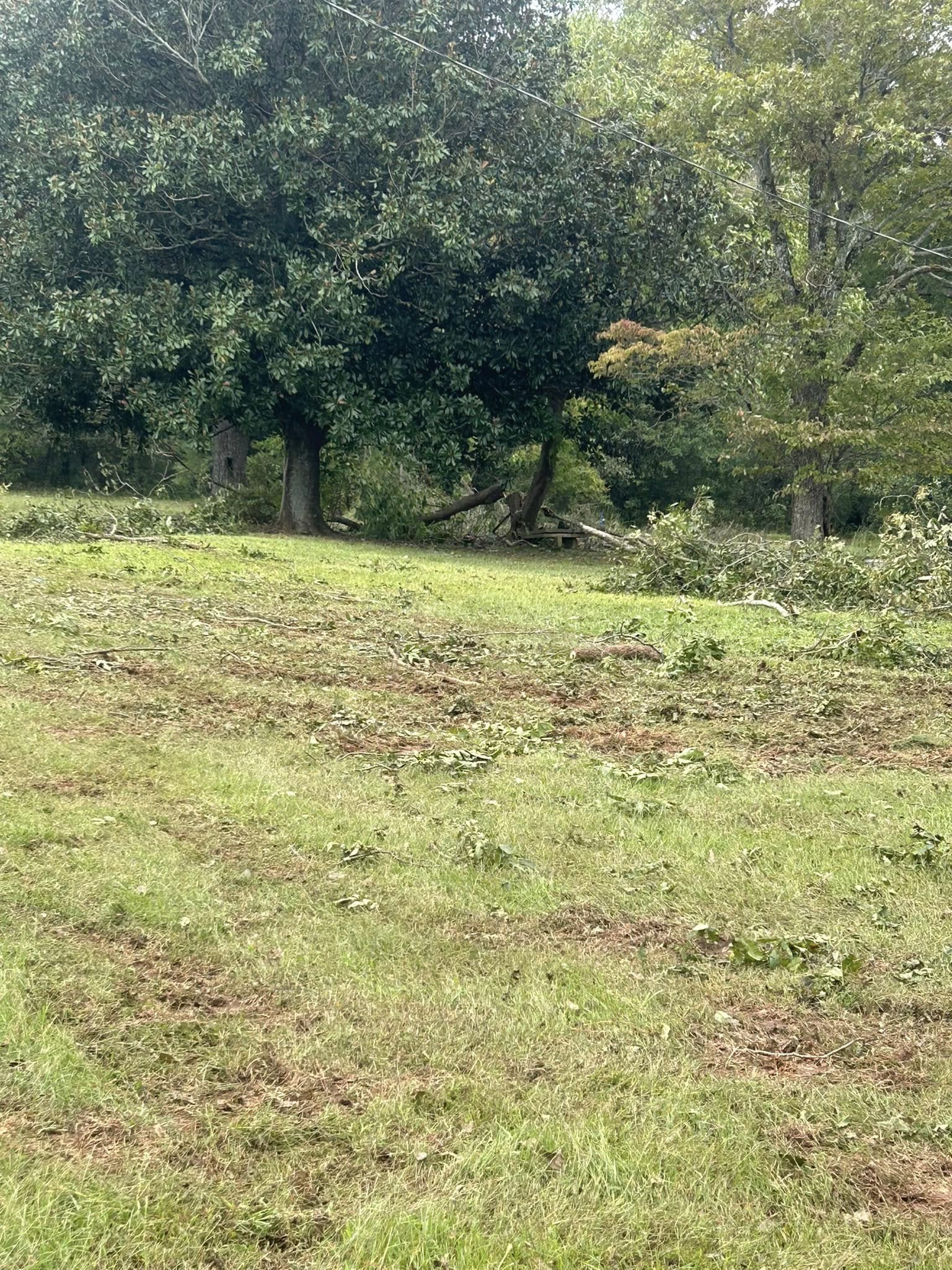  for 1UP Services LLC in Starr, SC