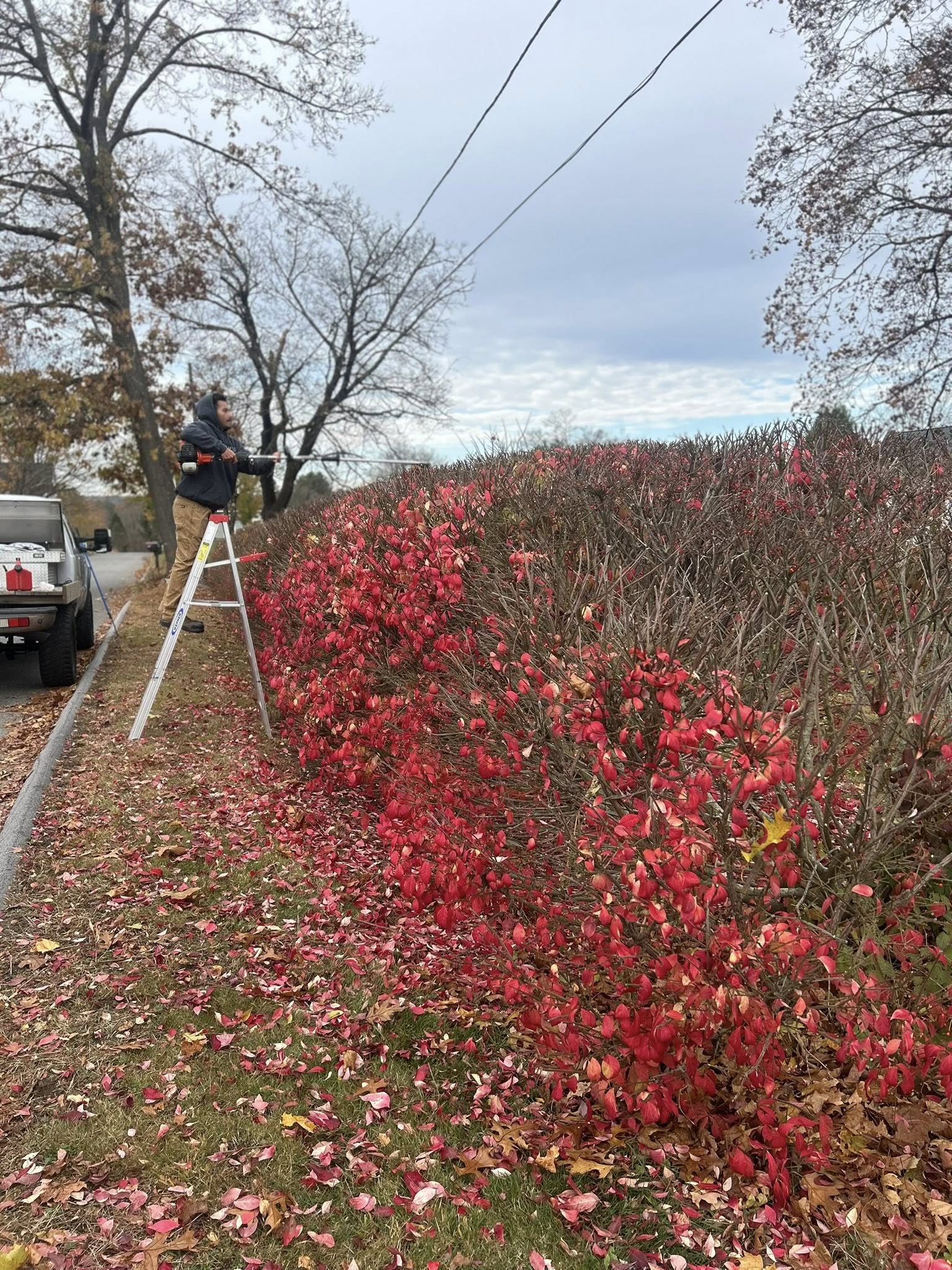  for Harper’s Landscaping & Mowing in Ware, MA