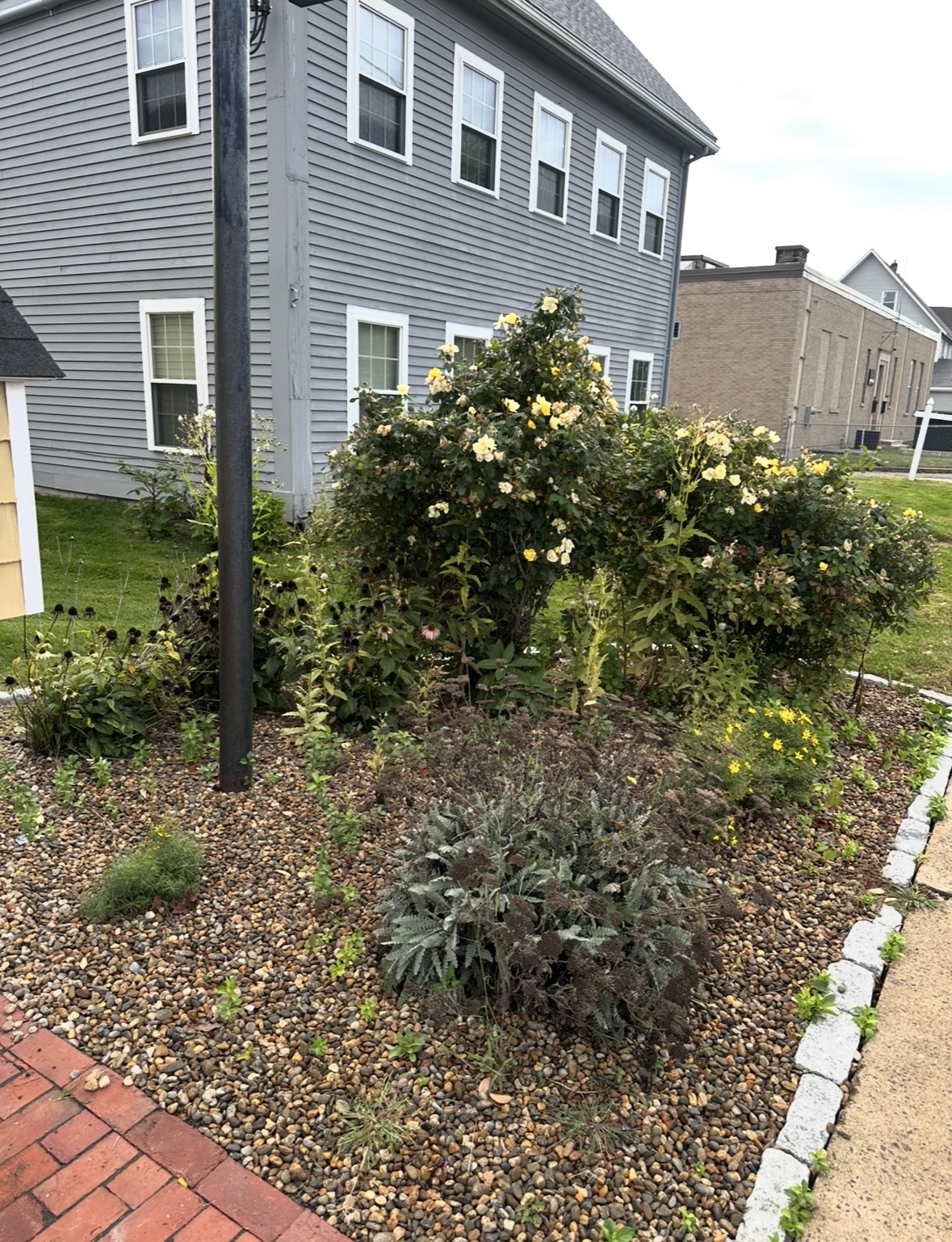  for Pote Landscaping in Wilmington, MA