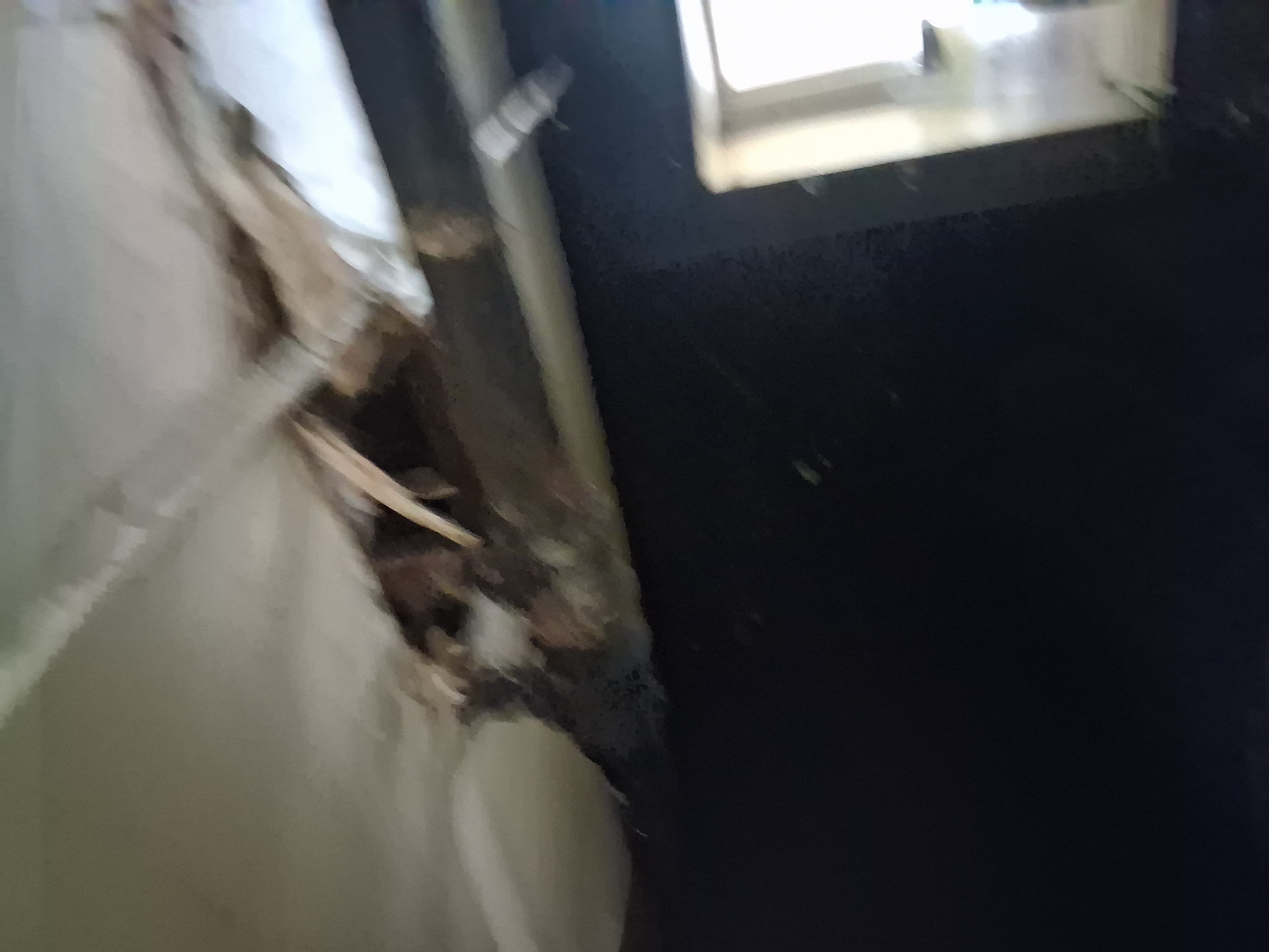  for K. Billey Construction in Brooklyn, NY