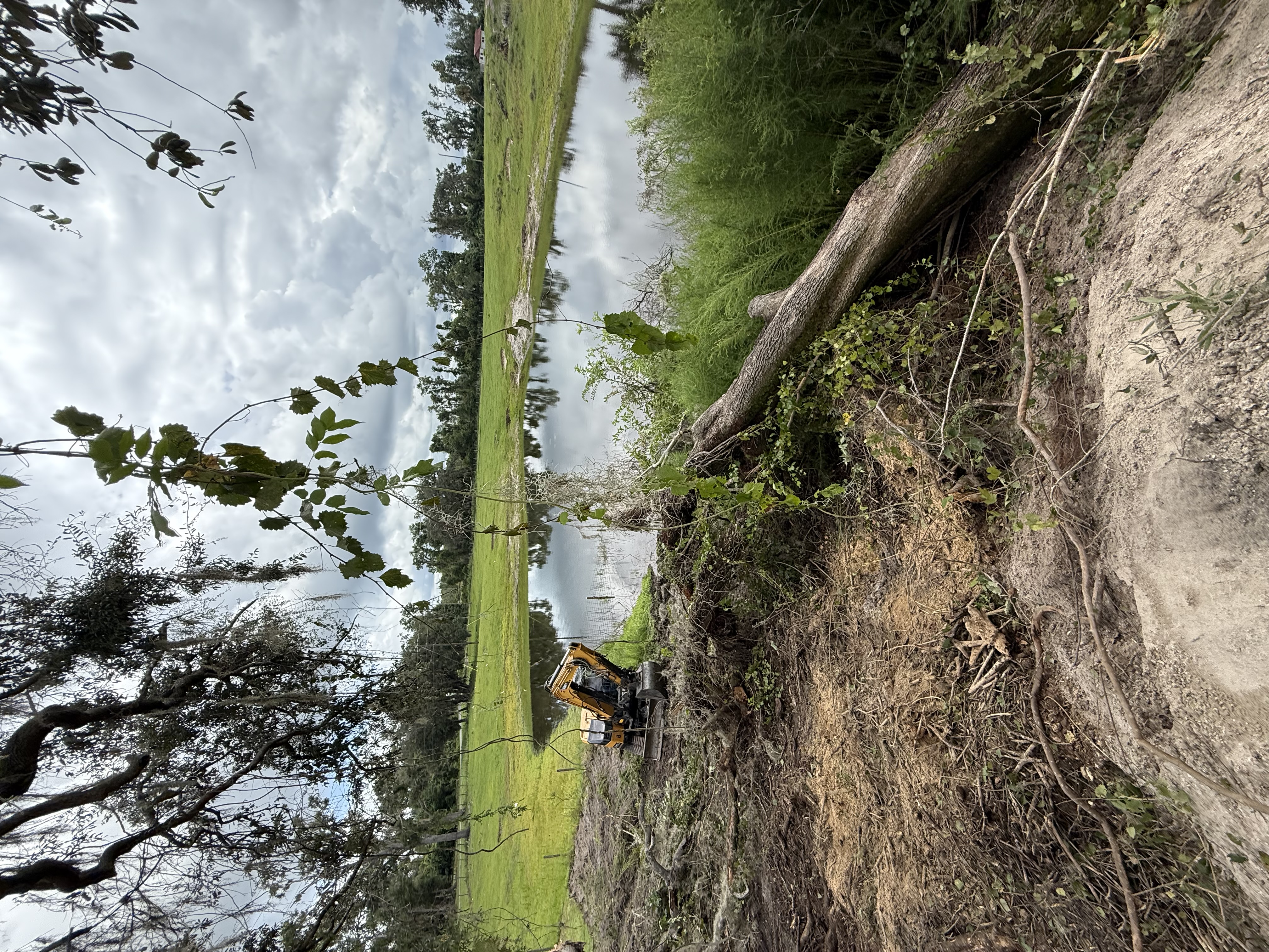  for Warners Tree Solutions in Live Oak, FL