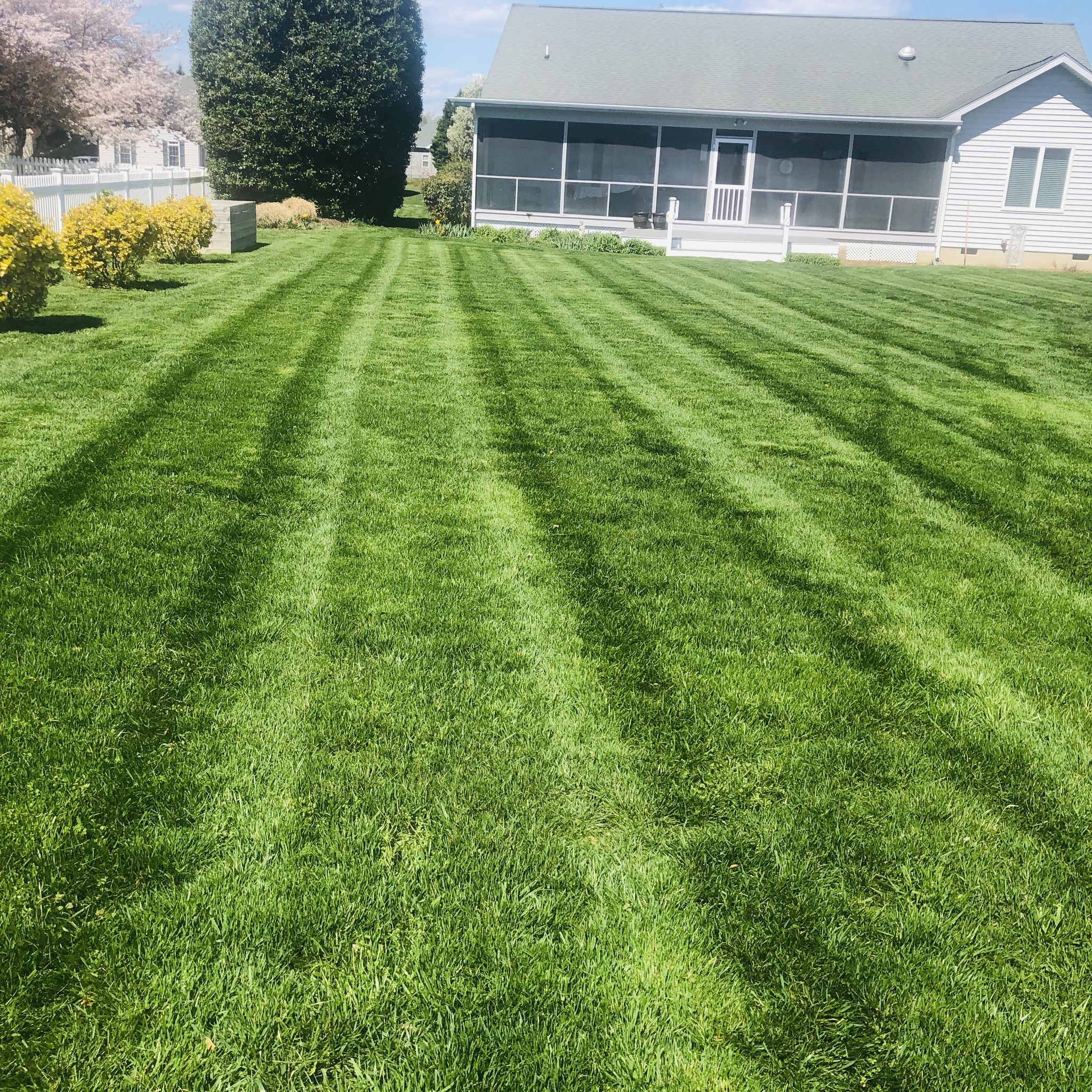 Lawn pro services llc. team in Georgetown, DE - people or person