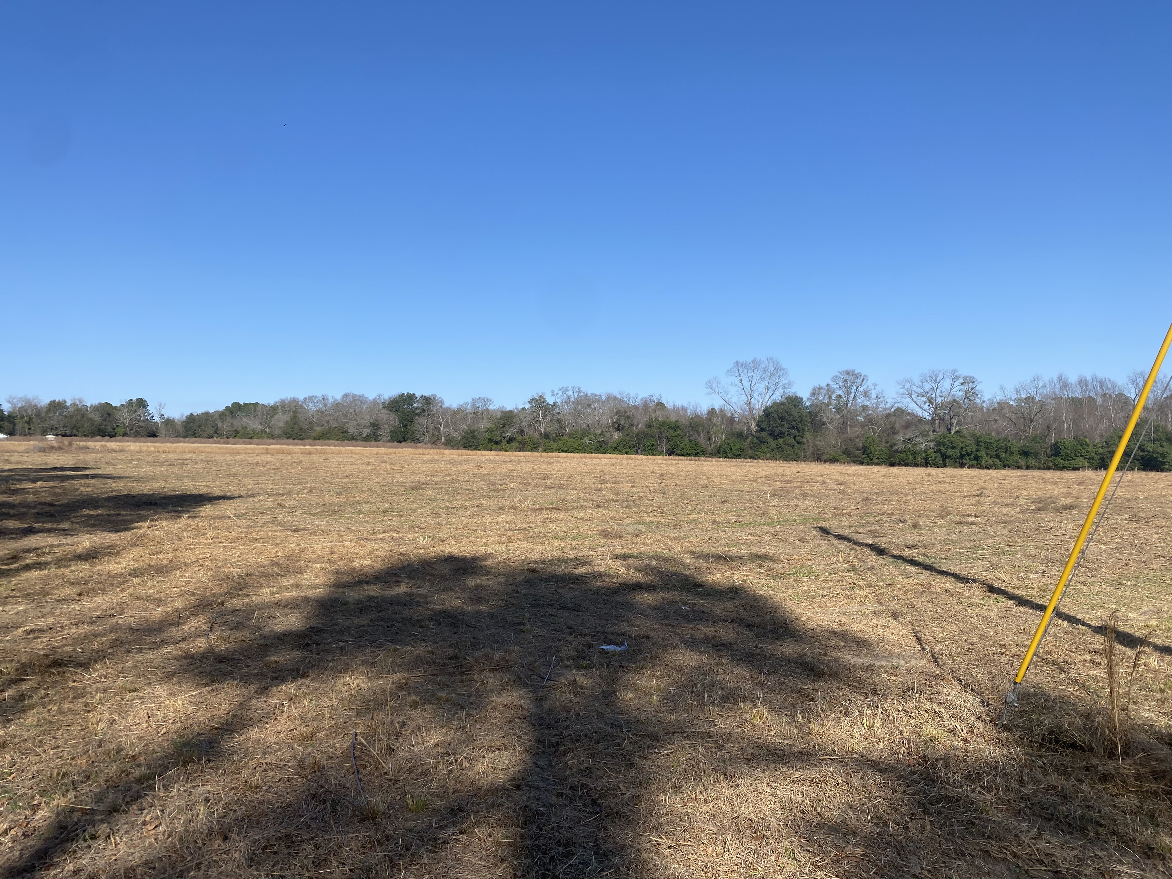  for T&S Land Management Services in Effingham County, GA