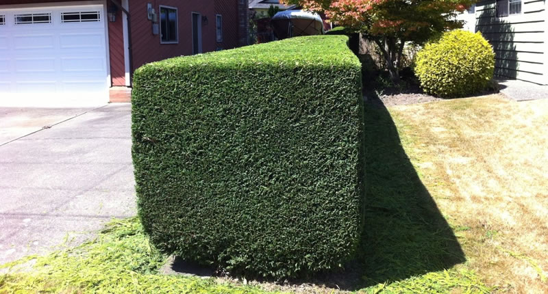  for Abbott's Lawn & Landscape in Manchester, PA