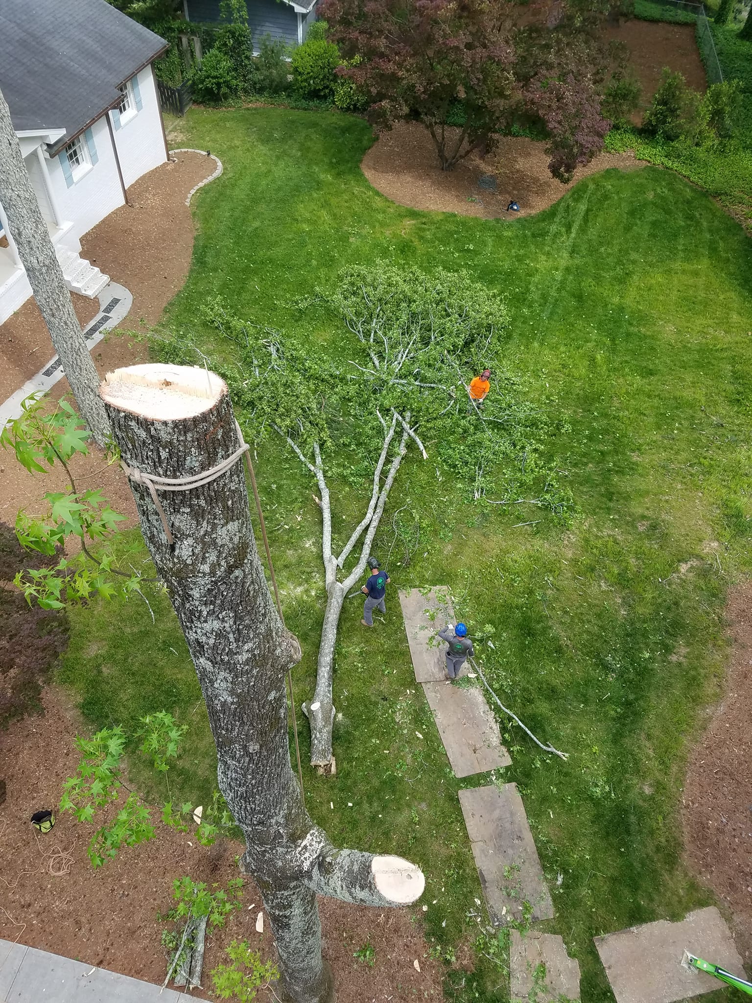 Sky High Tree Service team in Columbia, MO - people or person
