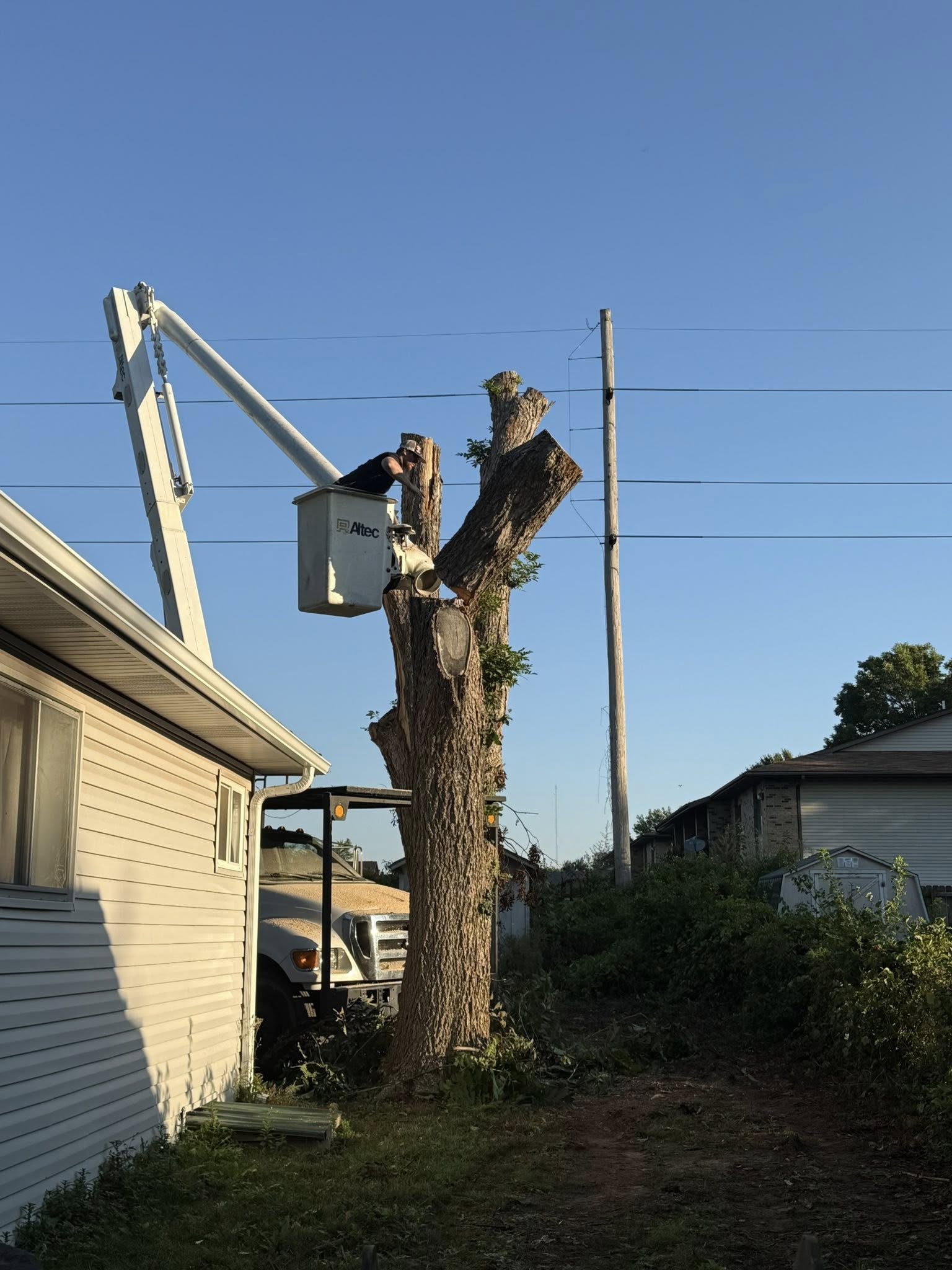  for Lightning Tree Service in Fair Grove, MO