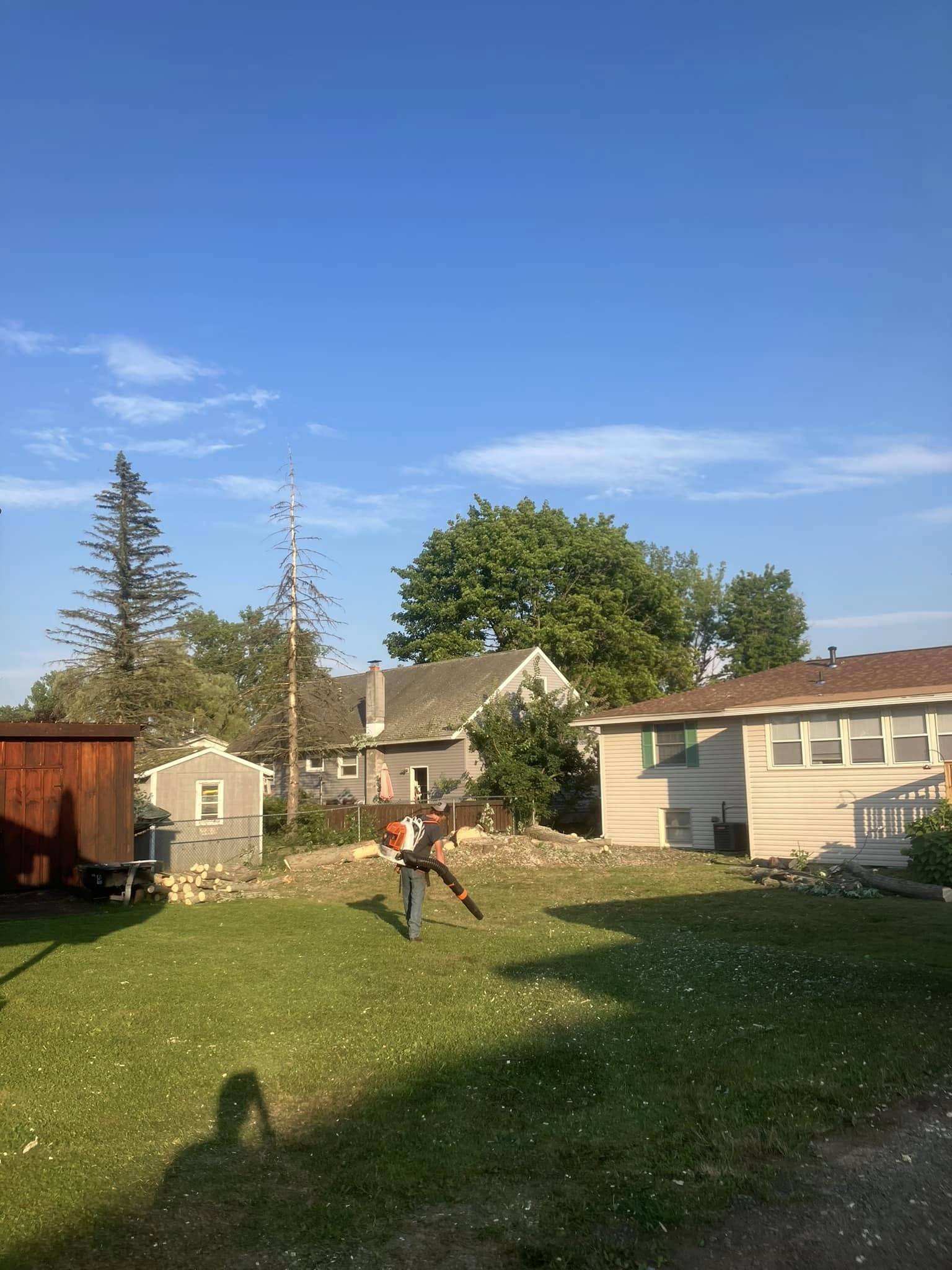  for Lovenguth Logging and Tree Service in West Monroe, NY