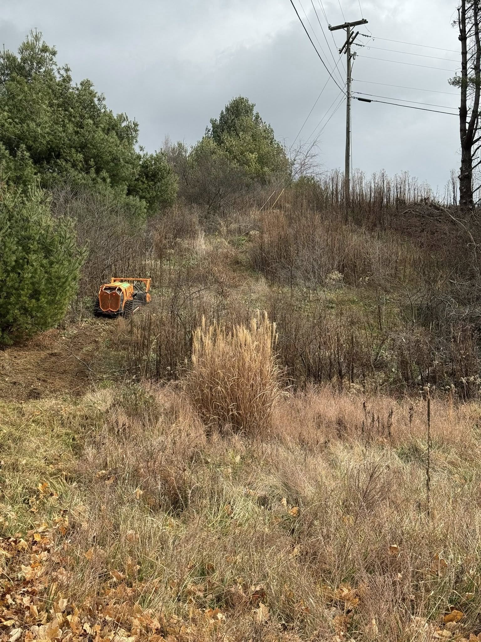  for Mountain Goat Land Management in Galax, VA