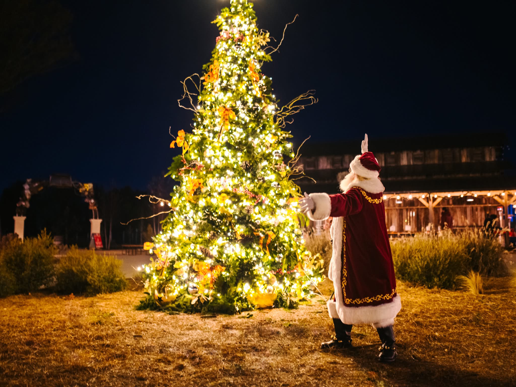Holiday Lighting Solutions team in Huntsville, AL - people or person