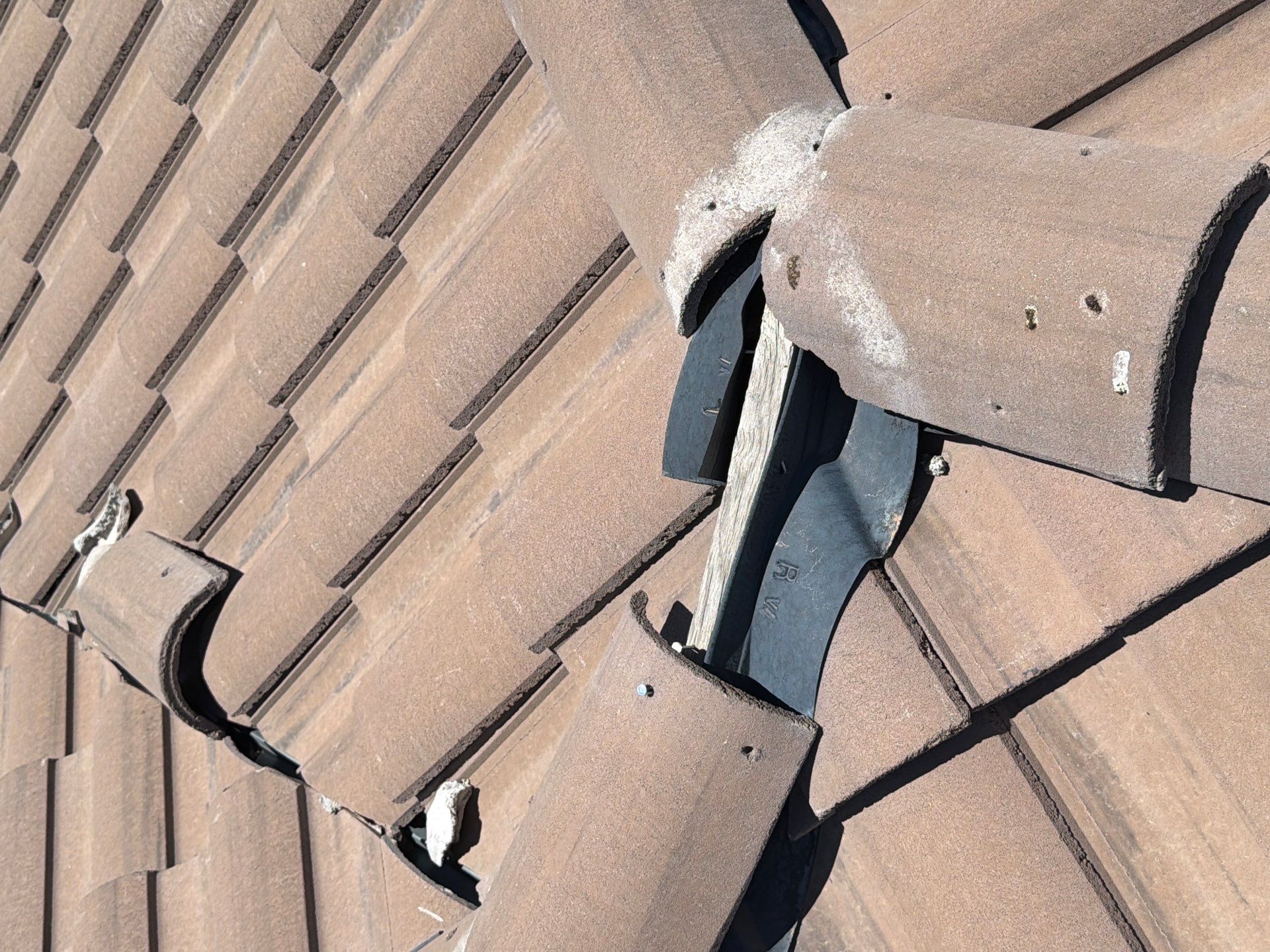 for Olson & Sons Contracting in Mesa, AZ