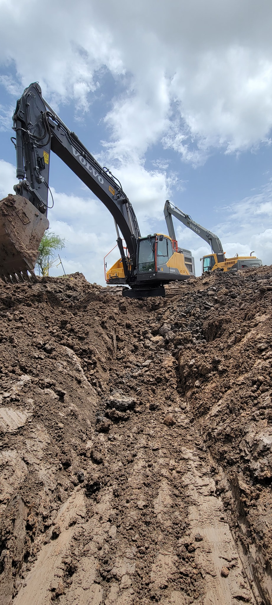  for Longoria & Son Construction in Harlingen, TX