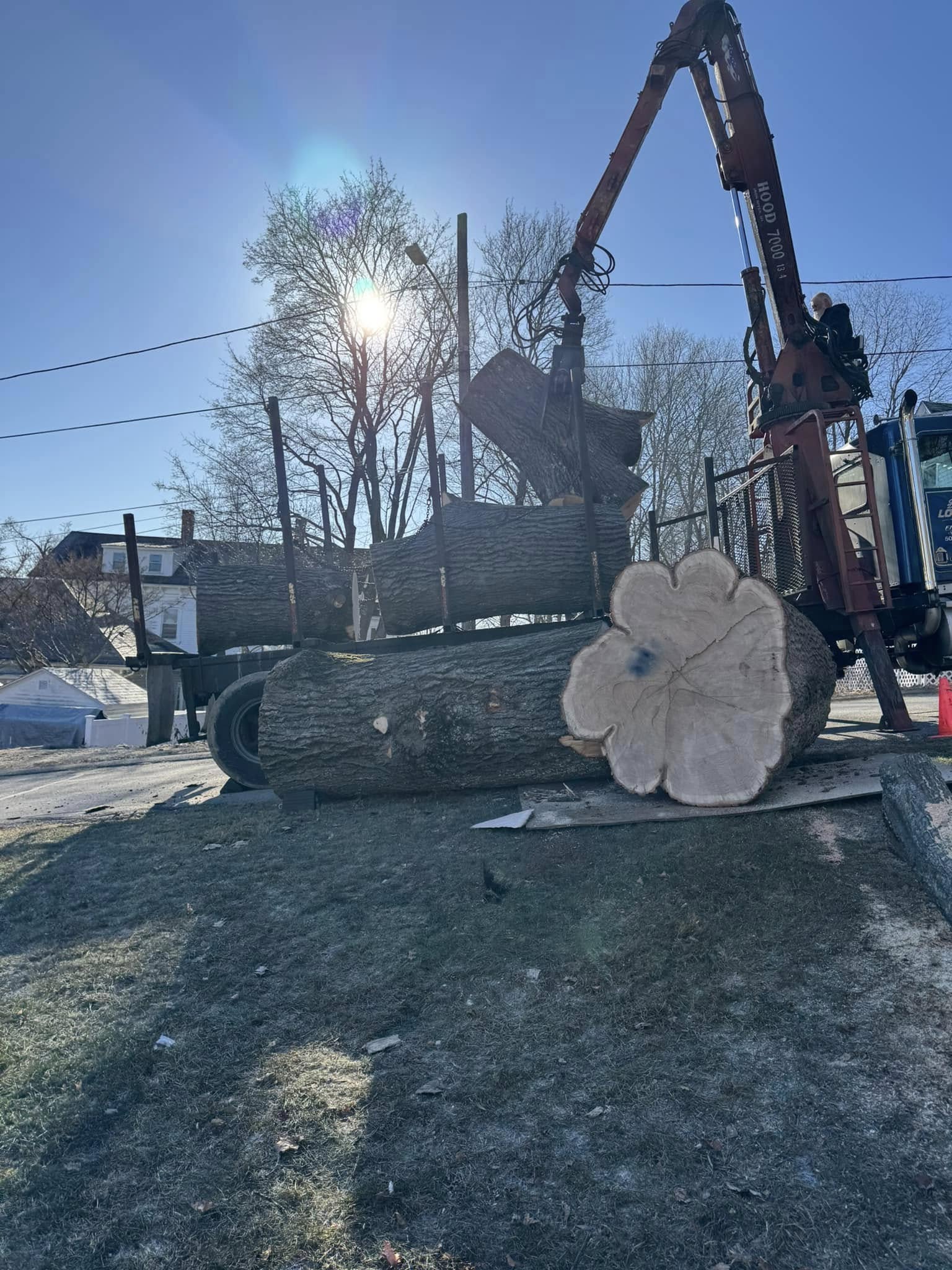 Tree Service company Redemption Tree & Landscape LLC  in Oakham, MA